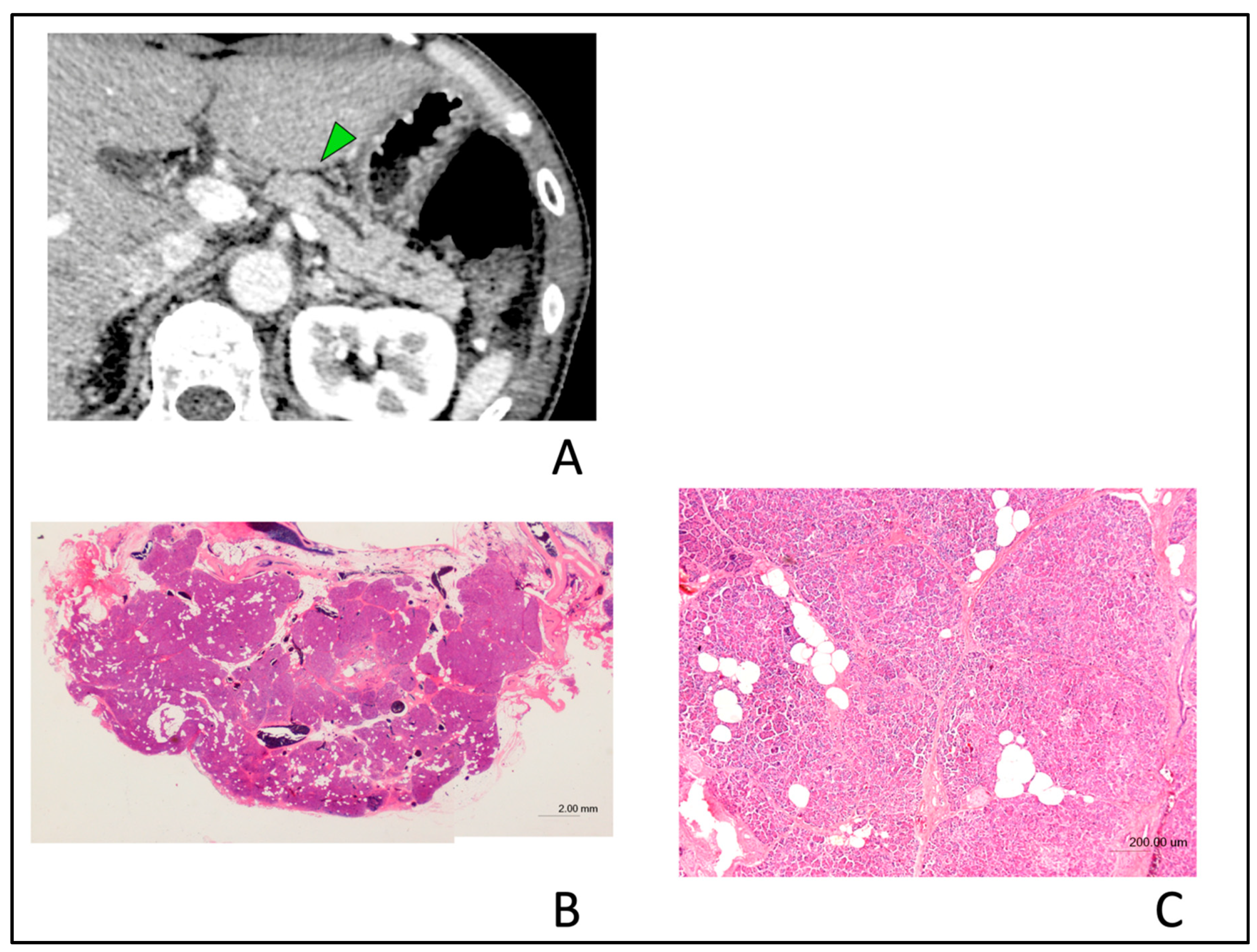 Diagnostics 10 00445 g008