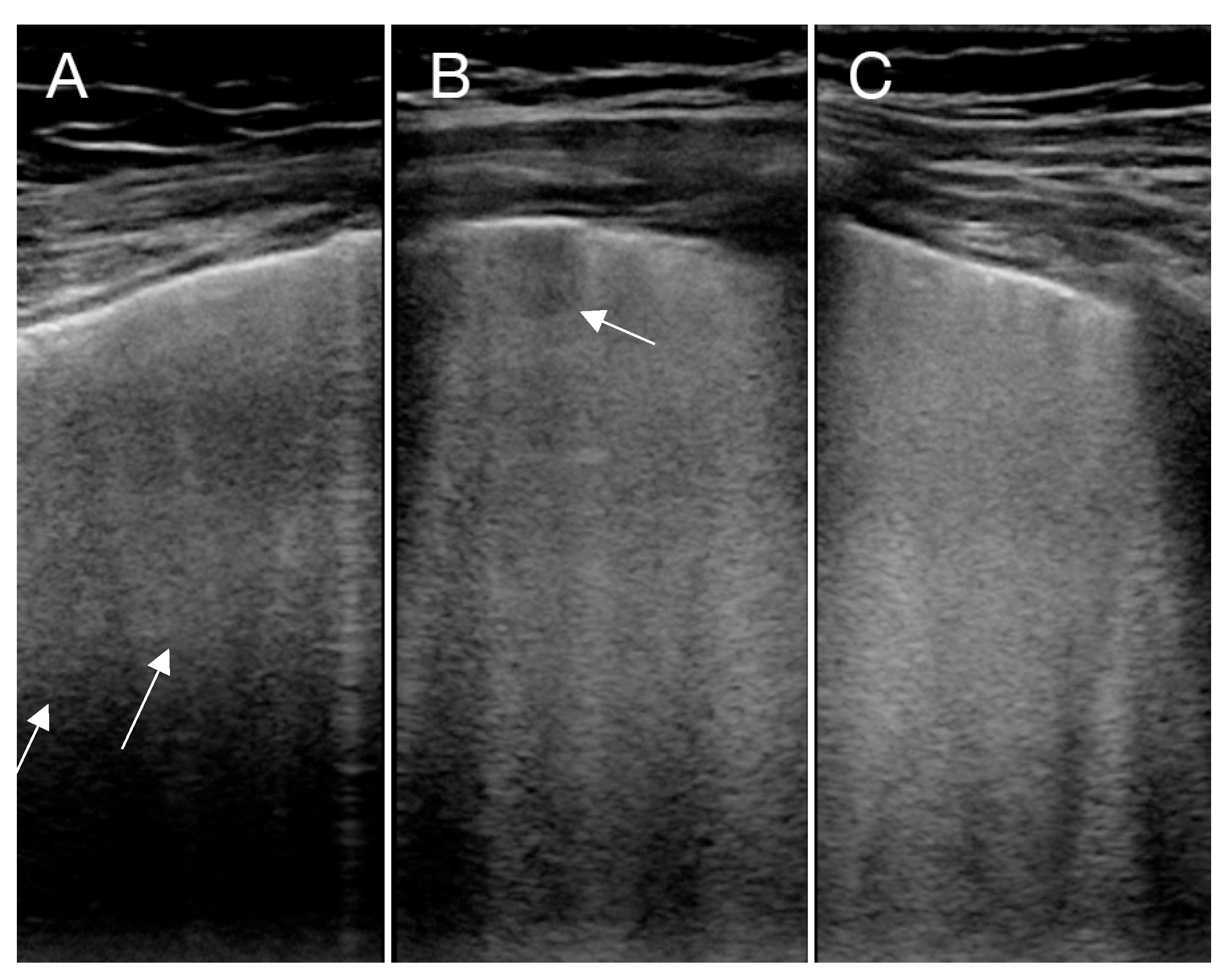 Diagnostics 10 00447 g001