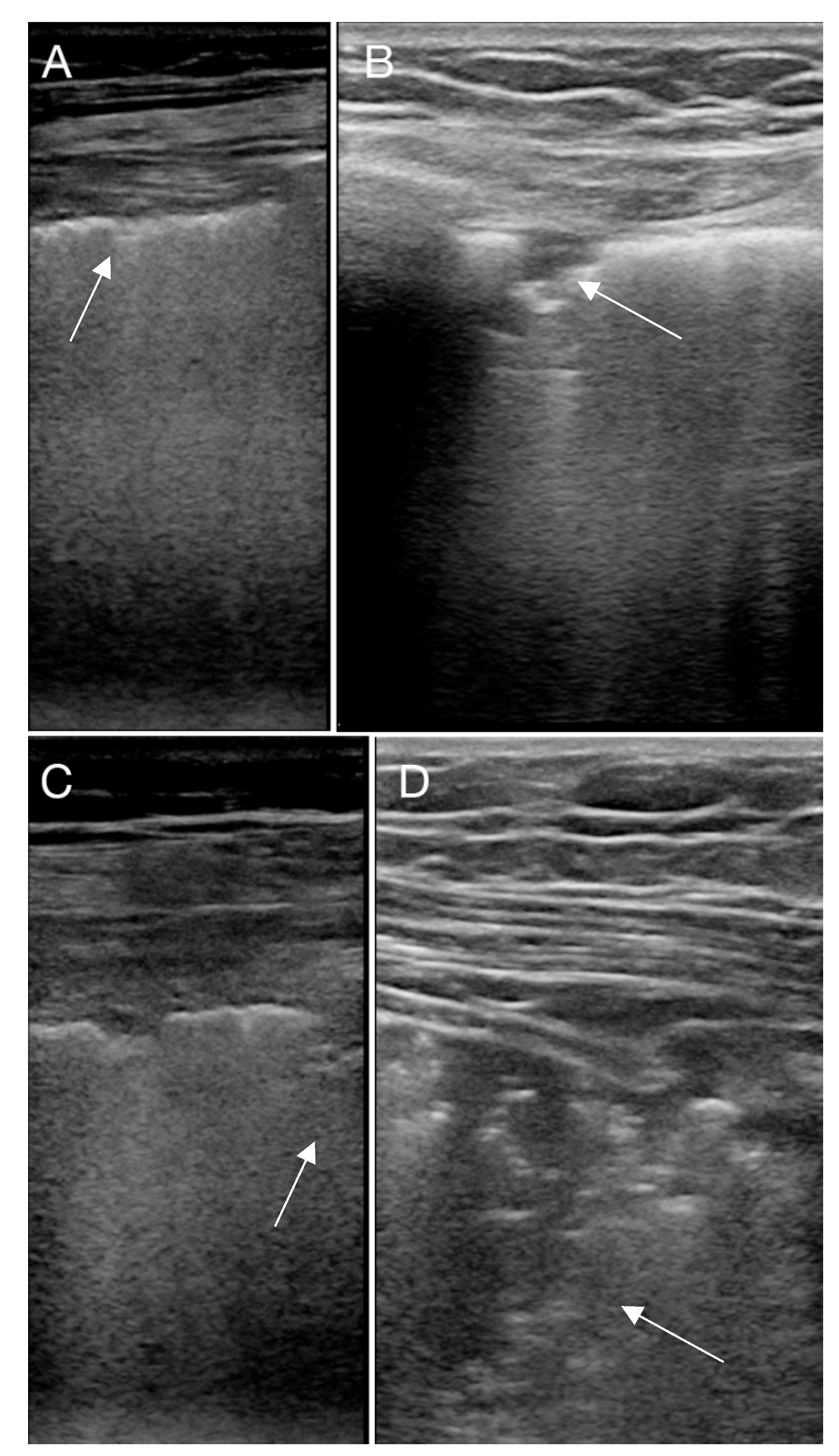 Diagnostics 10 00447 g002