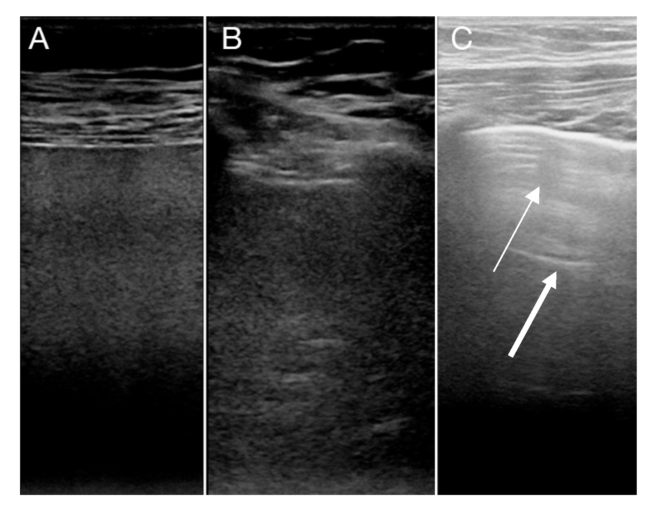 Diagnostics 10 00447 g003