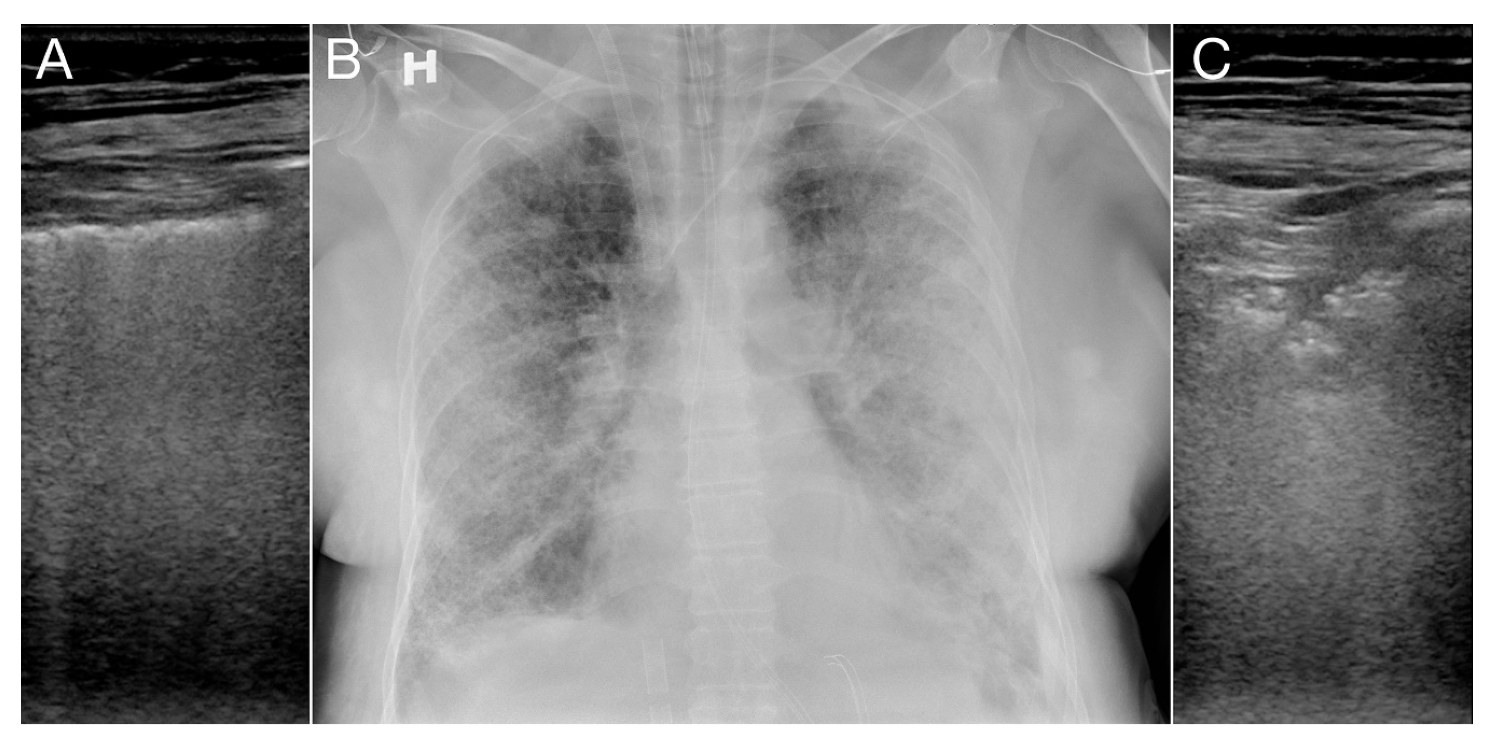 Diagnostics 10 00447 g007