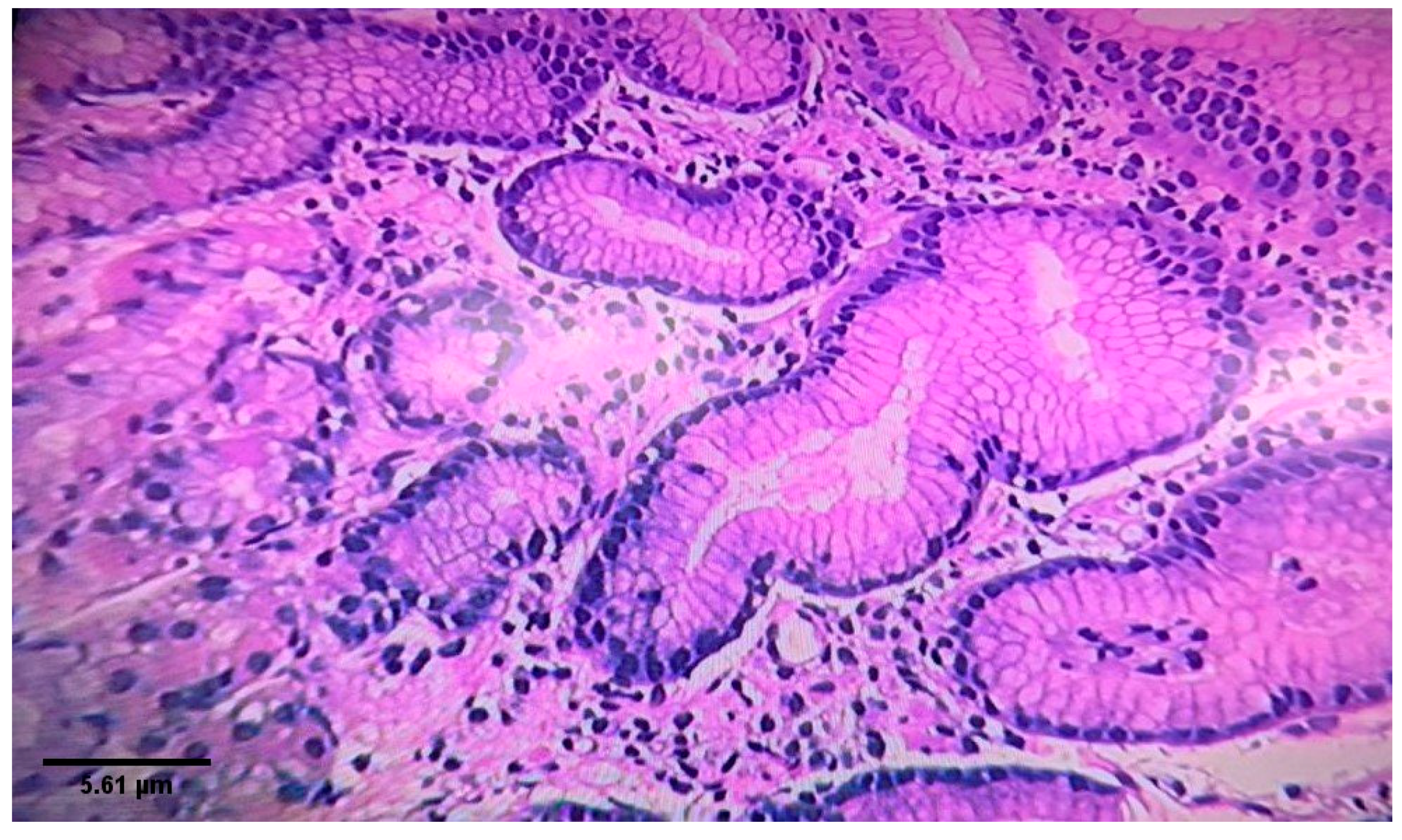 Diagnostics 10 00448 g002