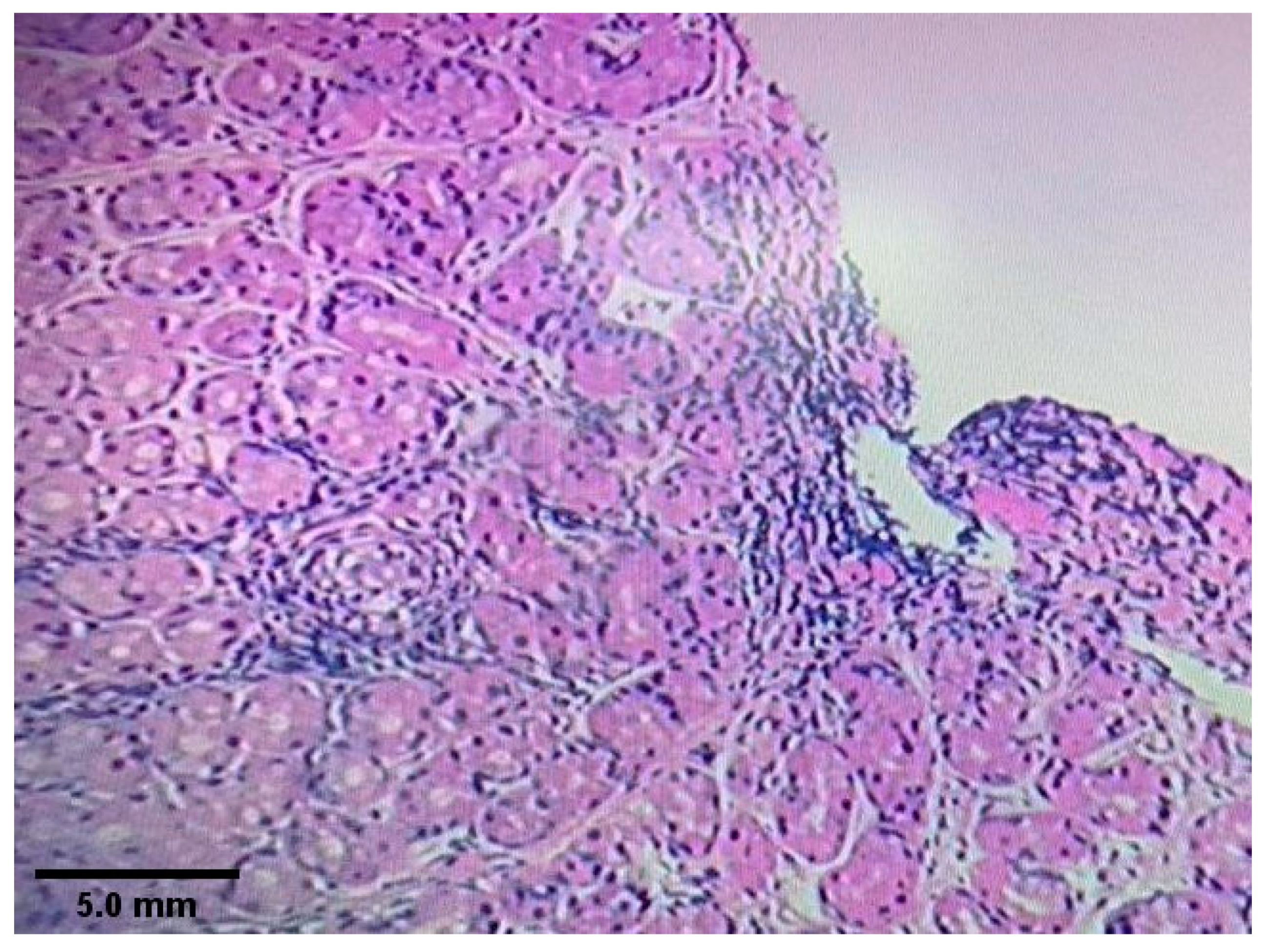 Diagnostics 10 00448 g003