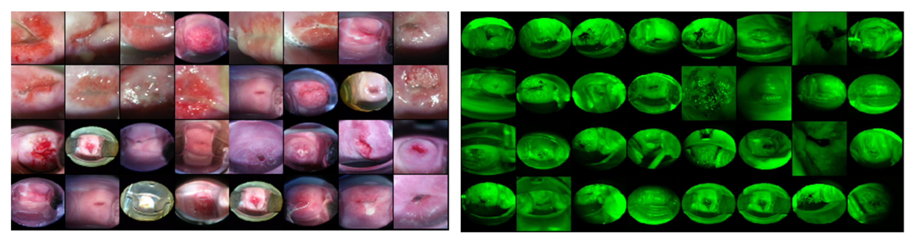Diagnostics 10 00451 g007