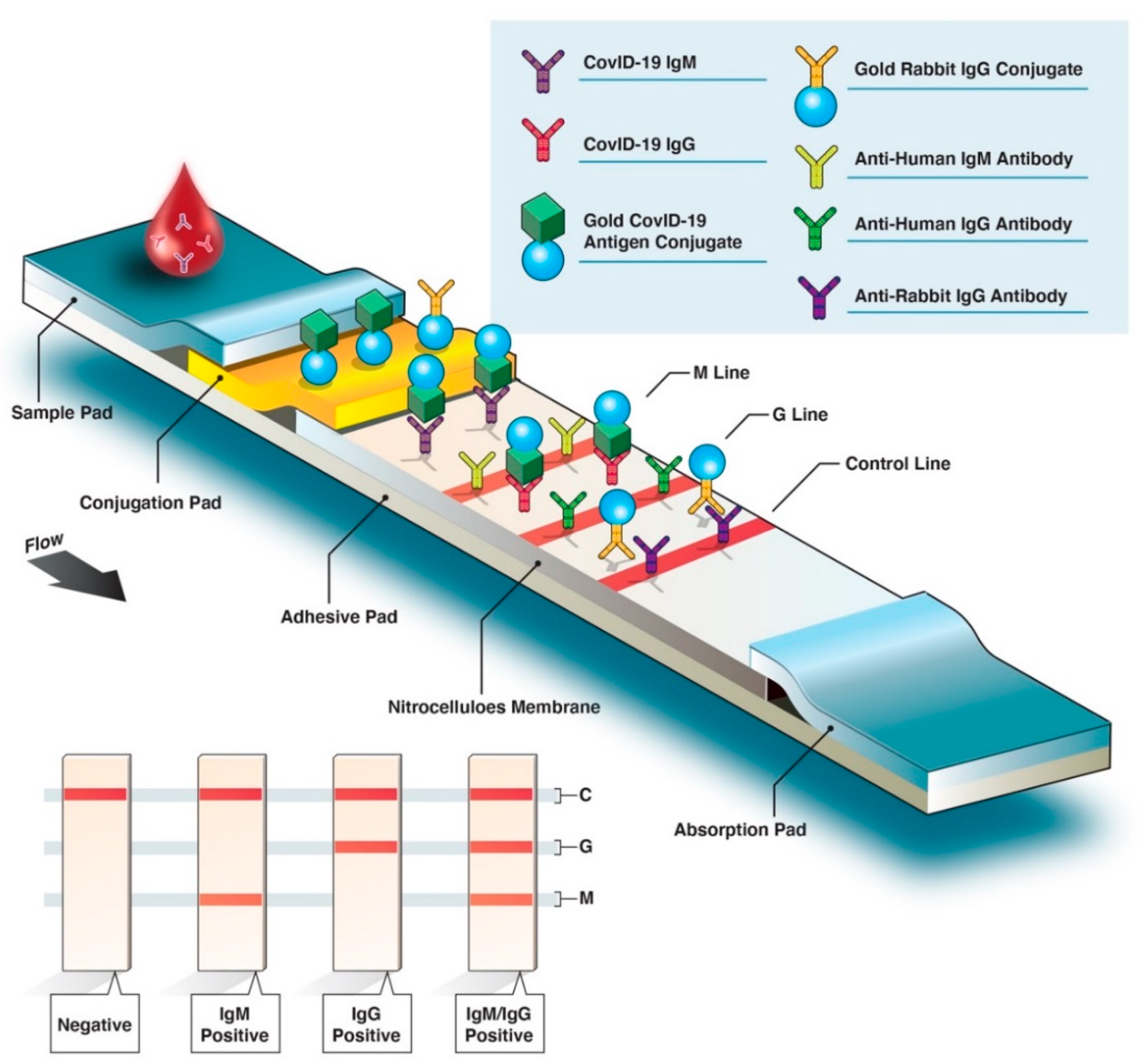 Diagnostics 10 00453 g002