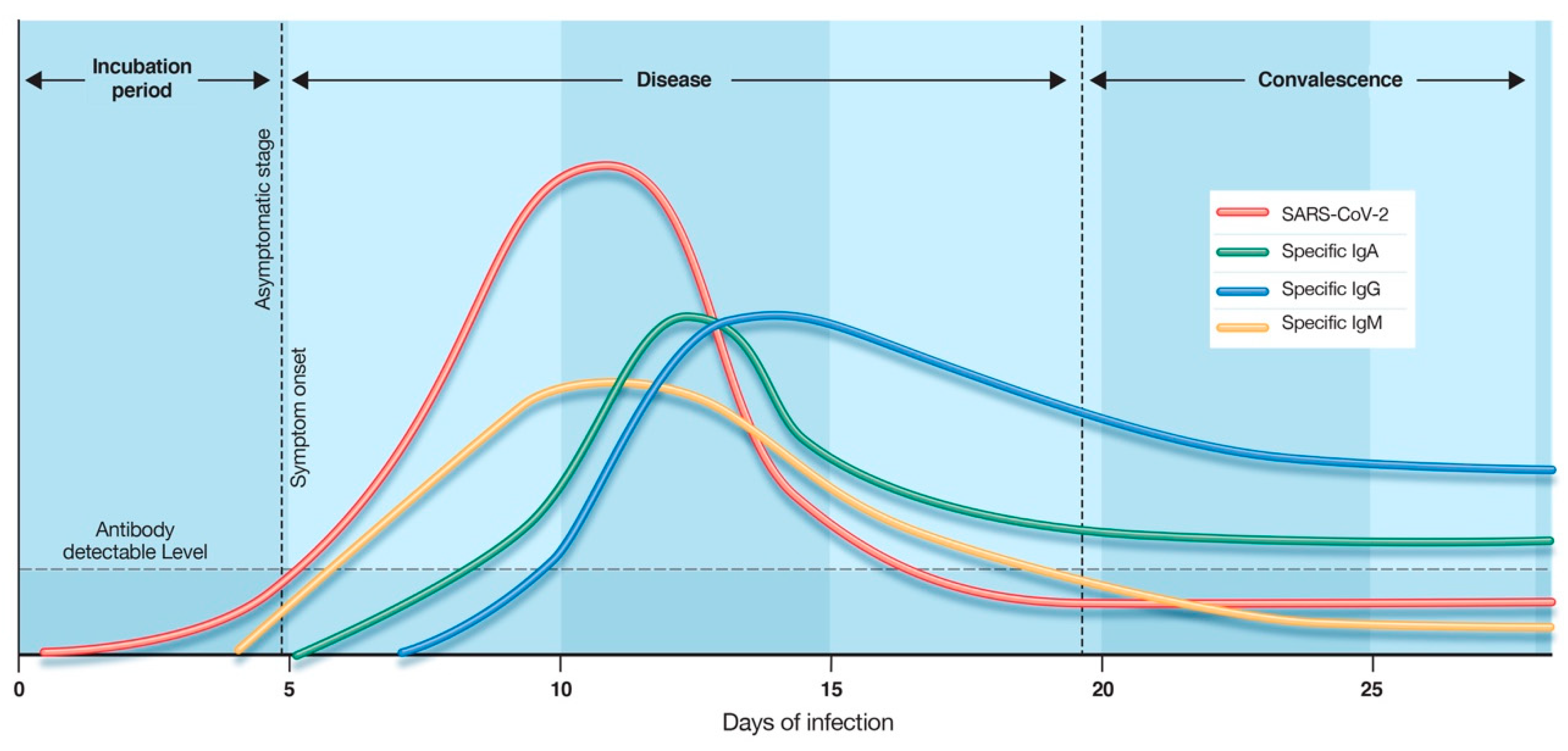 Diagnostics 10 00453 g004