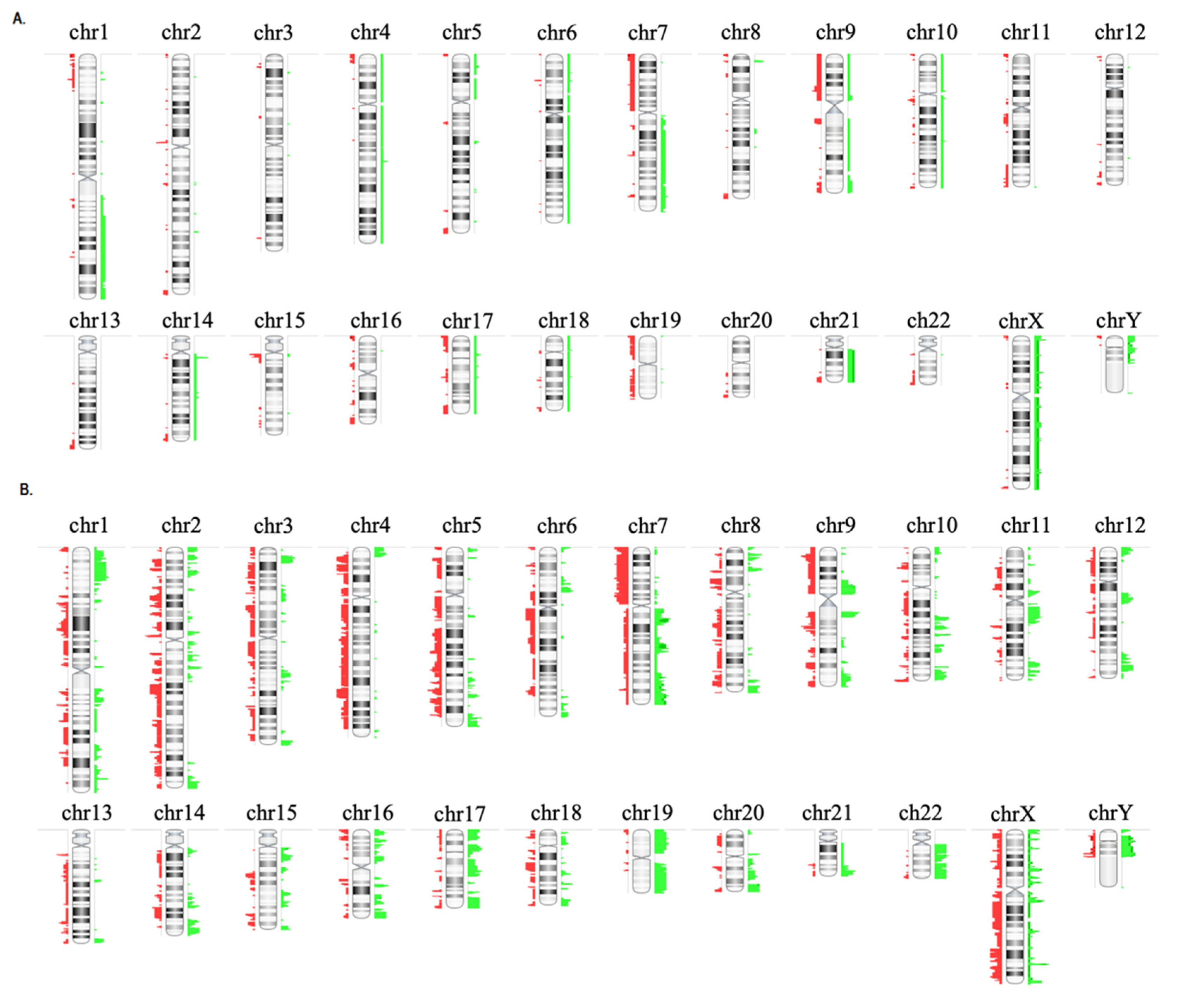 Diagnostics 10 00455 g002
