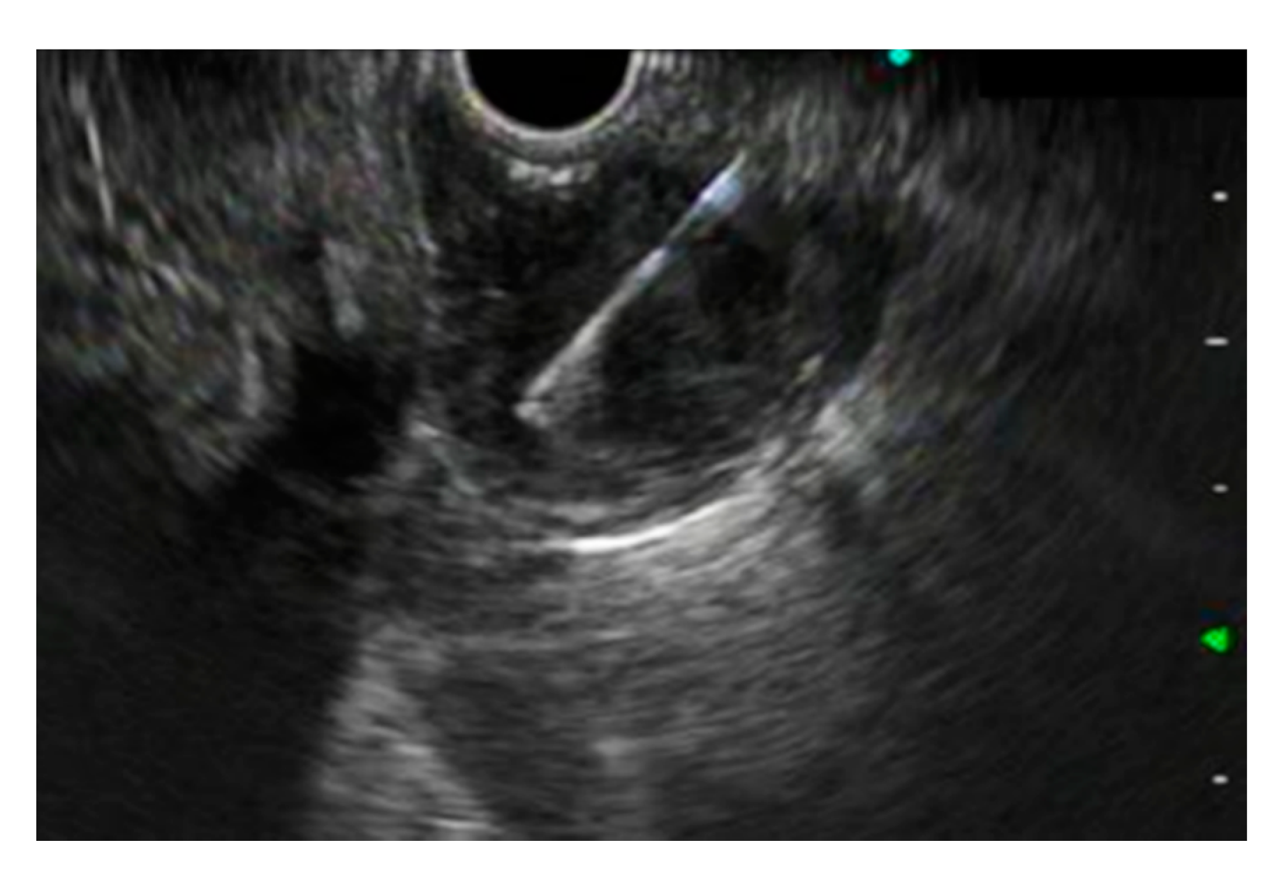 Diagnostics 10 00463 g001