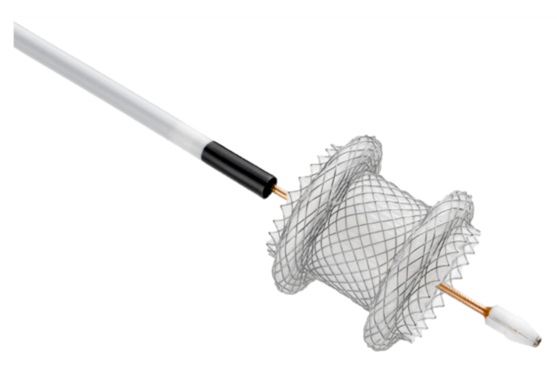 Diagnostics 10 00463 g006