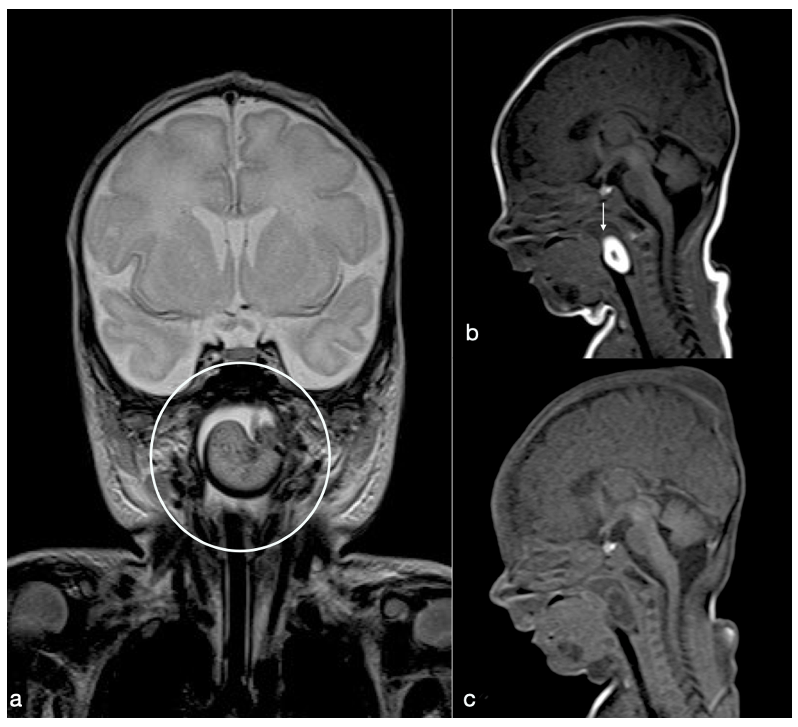 Diagnostics 10 00465 g001 Diagnostics 10 00465 g001