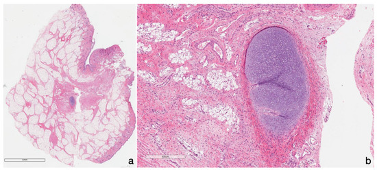 Diagnostics 10 00465 g002