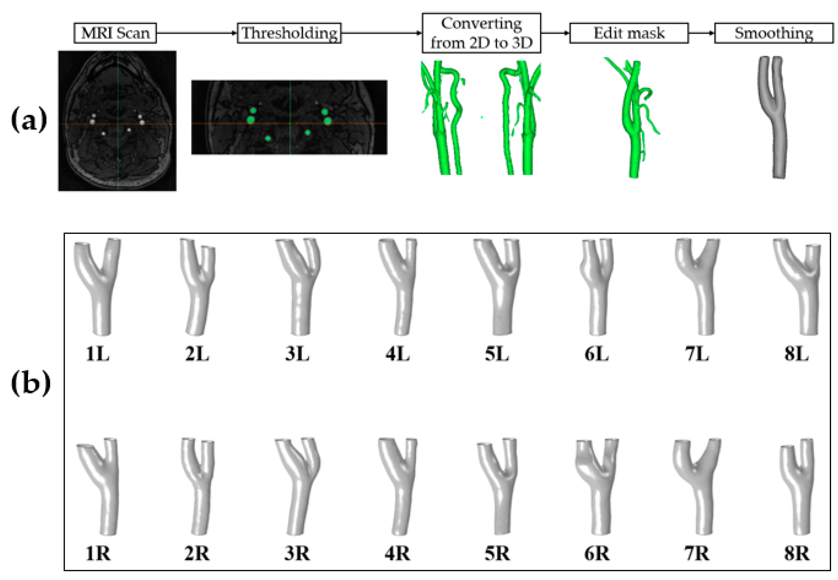 Diagnostics 10 00473 g001