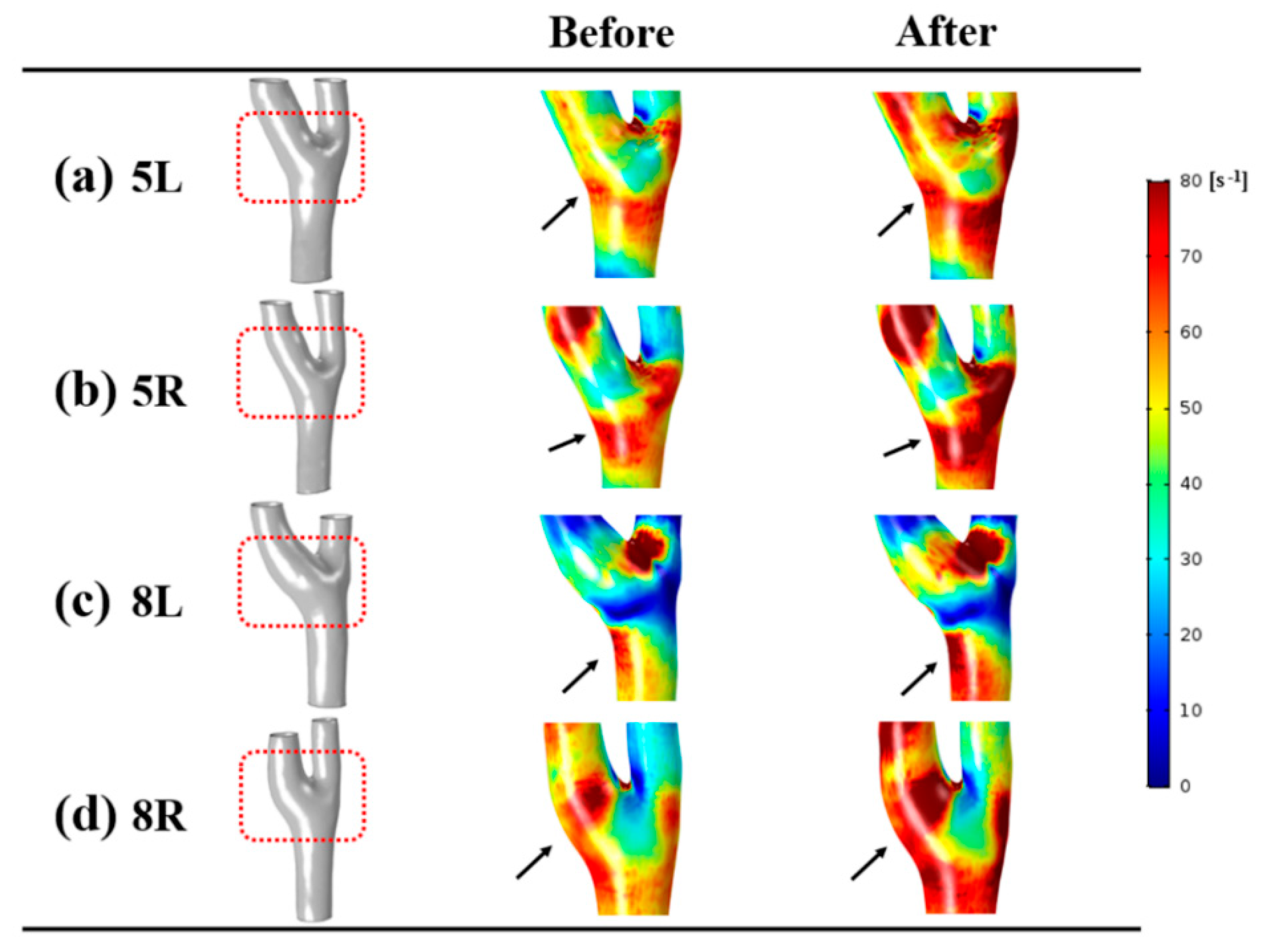 Diagnostics 10 00473 g005