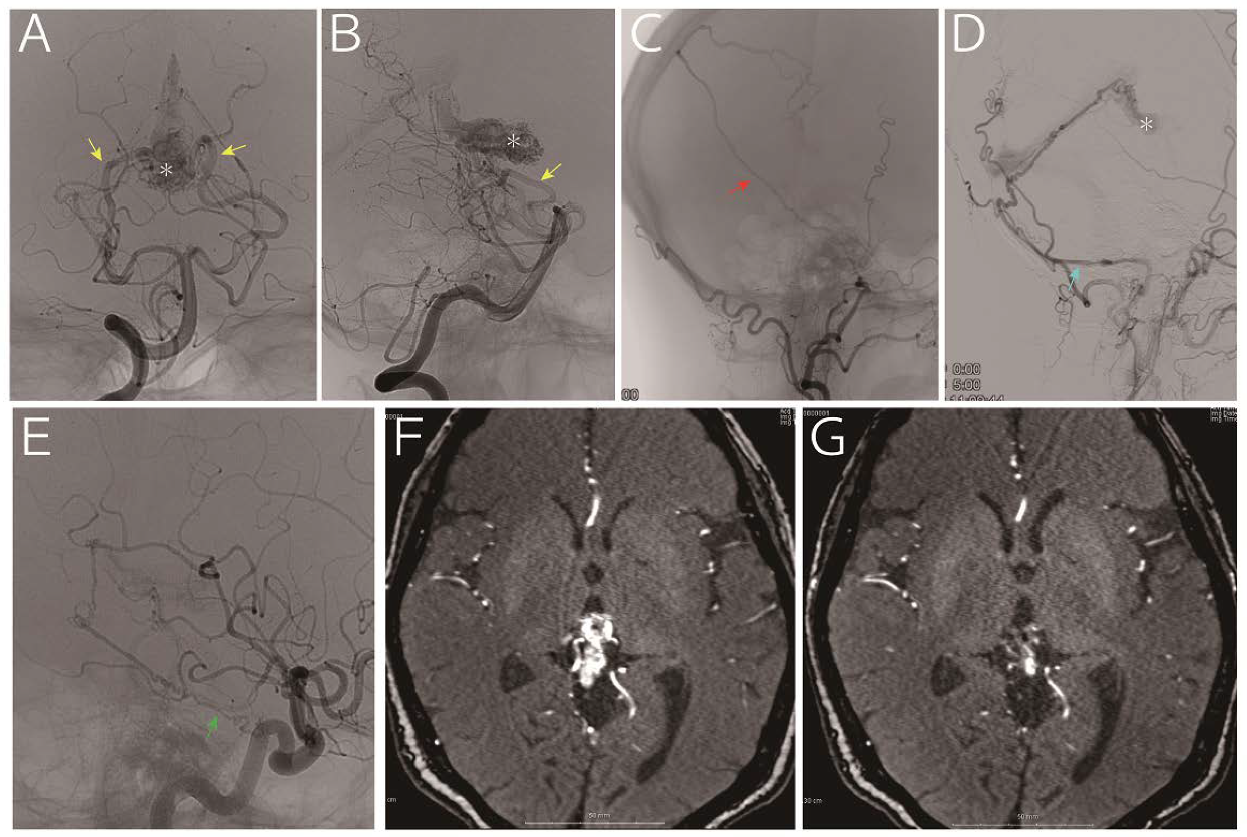 Diagnostics 10 00481 g001