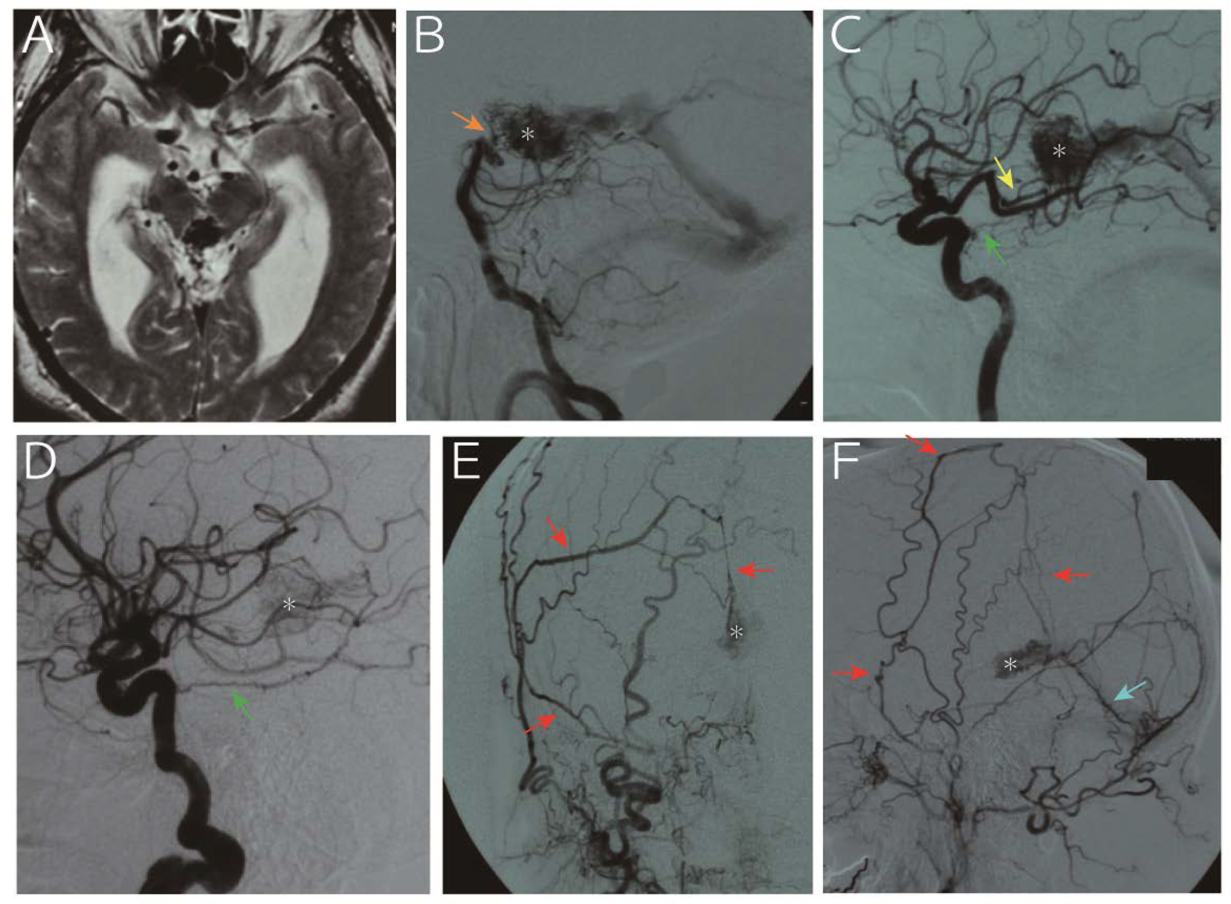 Diagnostics 10 00481 g003