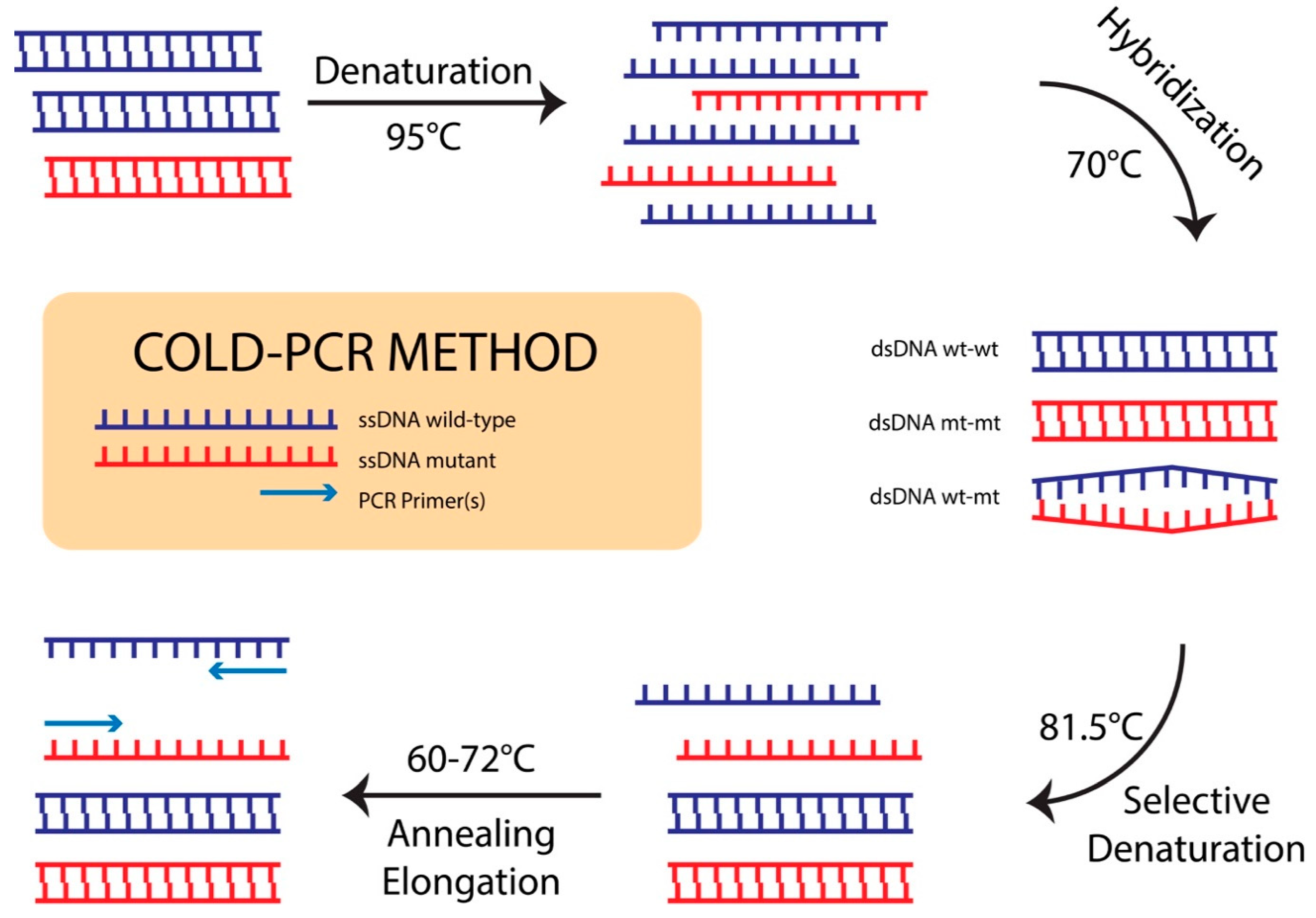 Diagnostics 10 00491 g001 Diagnostics 10 00491 g001