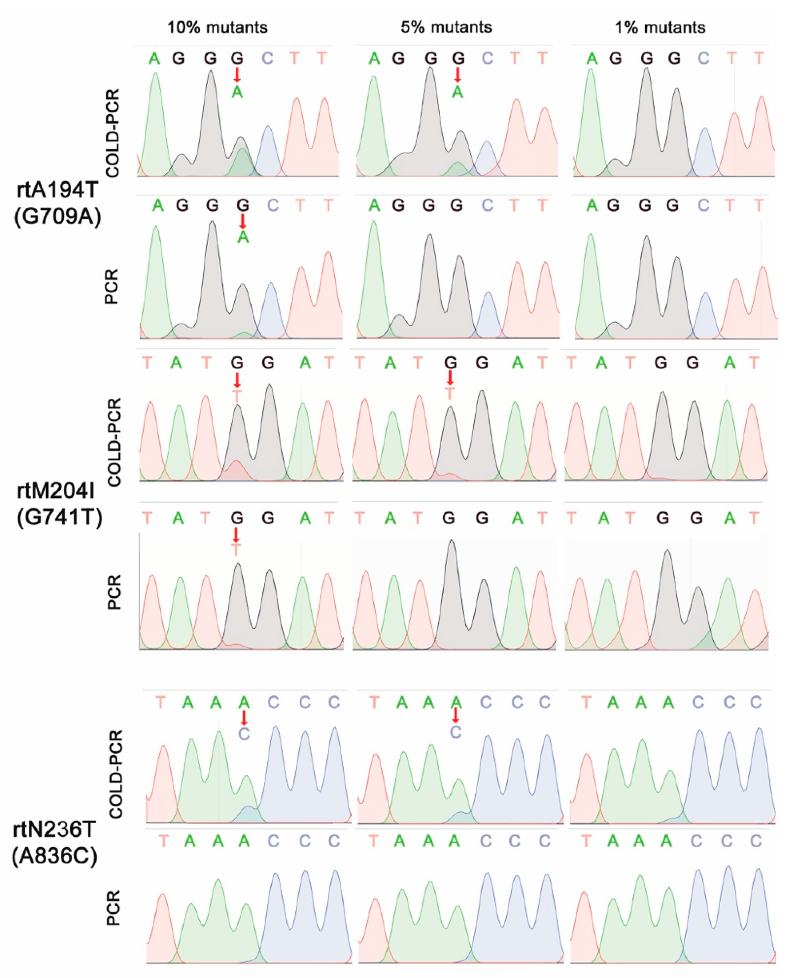 Diagnostics 10 00491 g003 Diagnostics 10 00491 g003