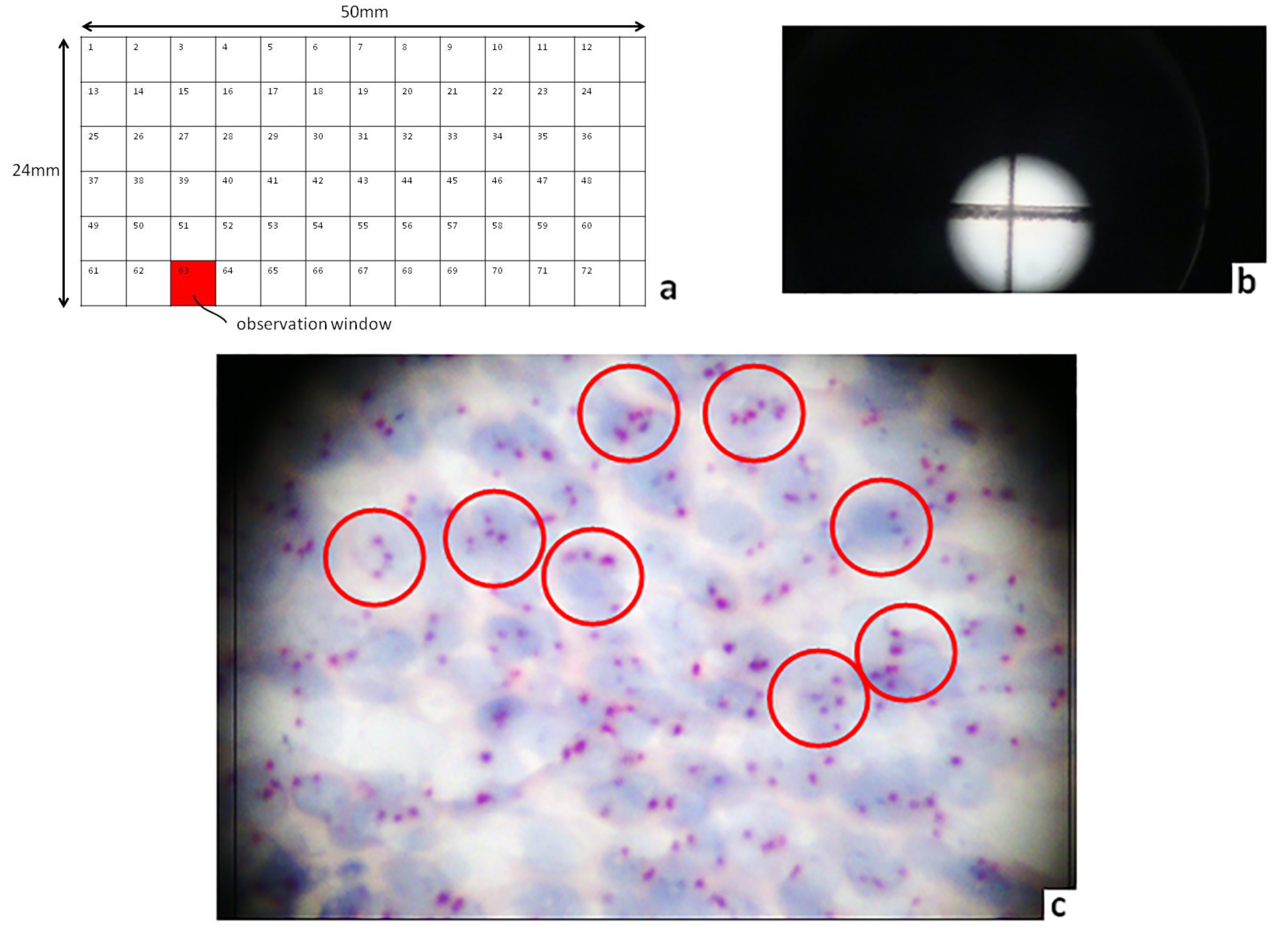 Diagnostics 10 00501 g001 Diagnostics 10 00501 g001