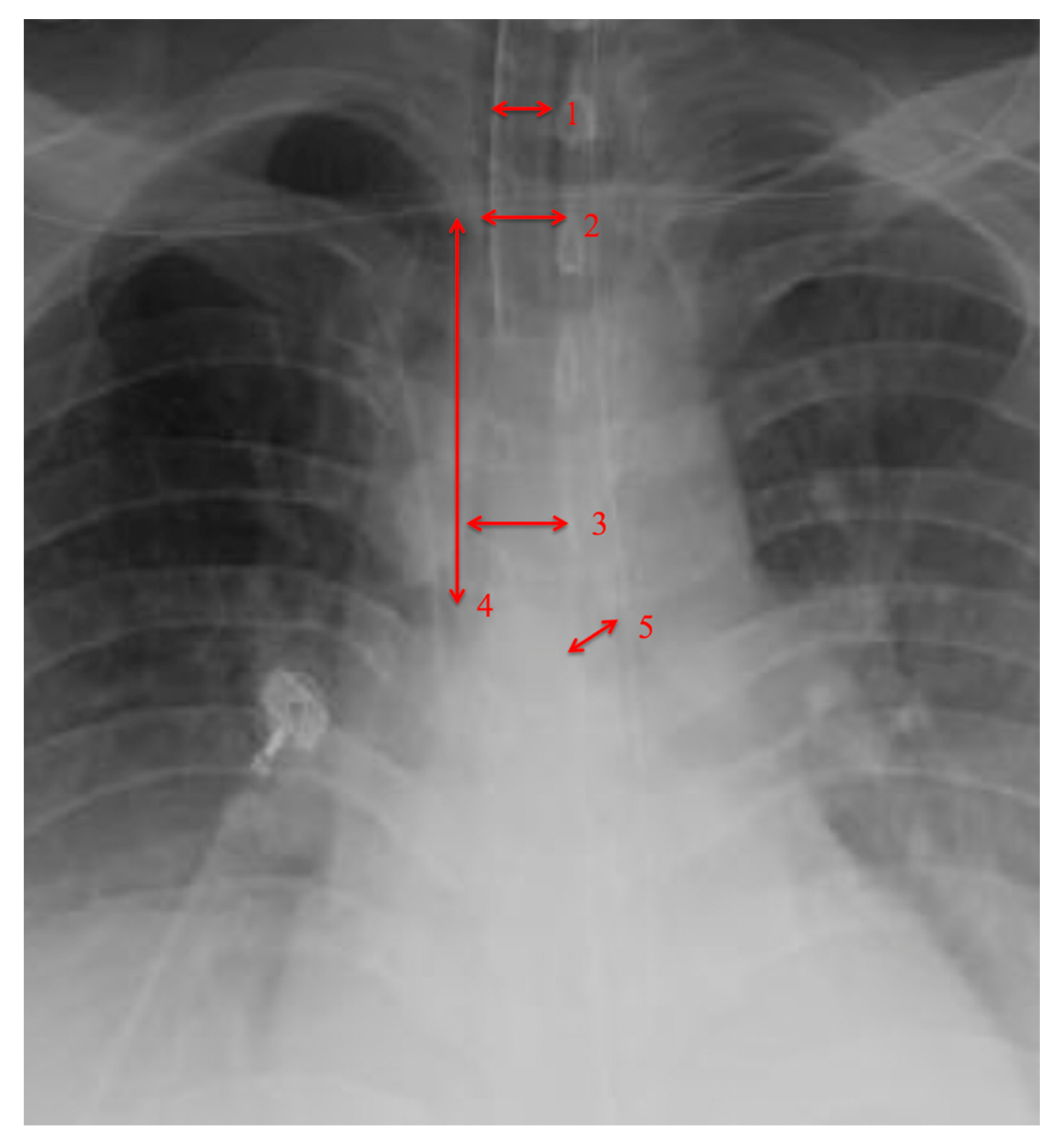 Diagnostics 10 00506 g002