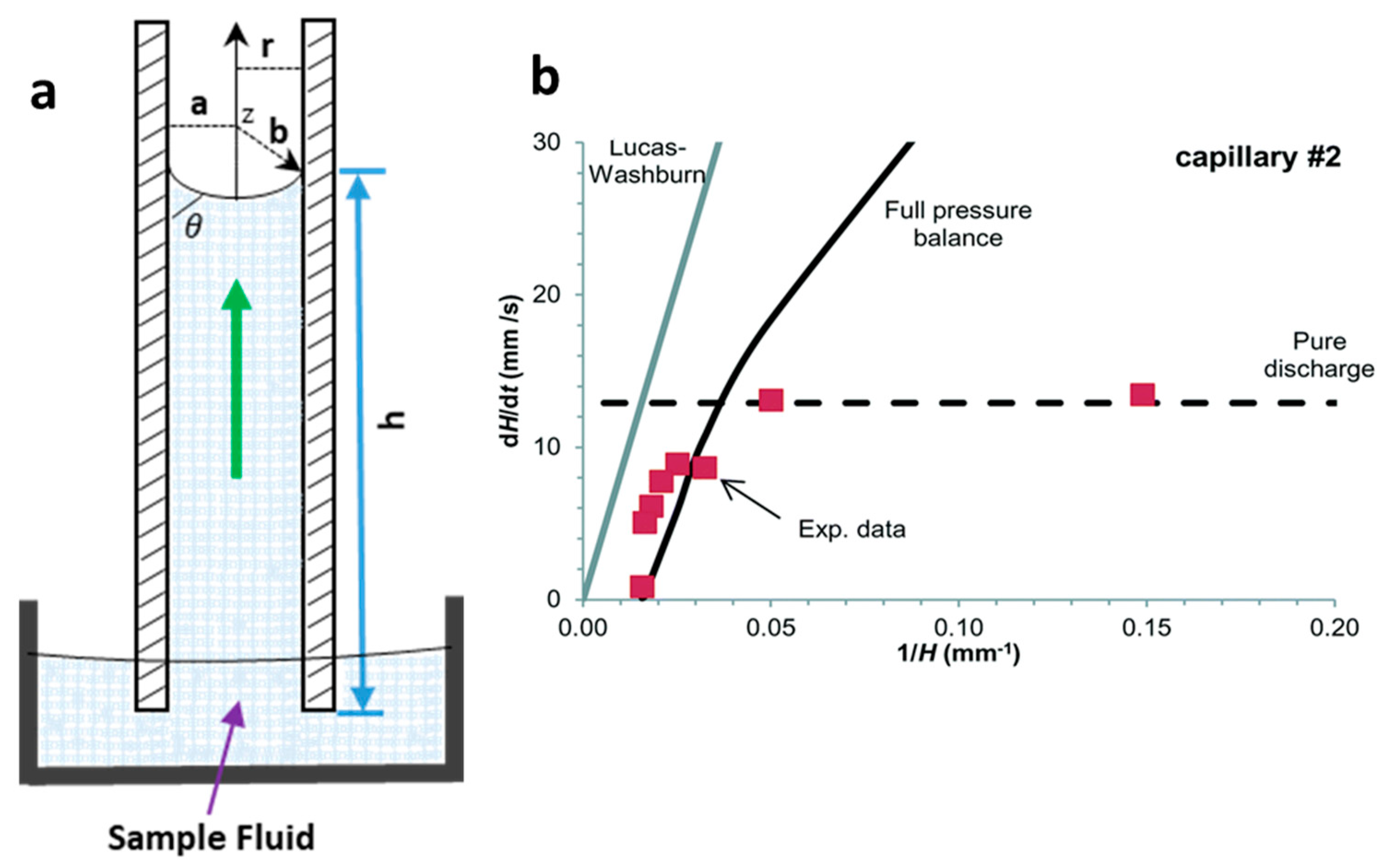 Diagnostics 10 00509 g001