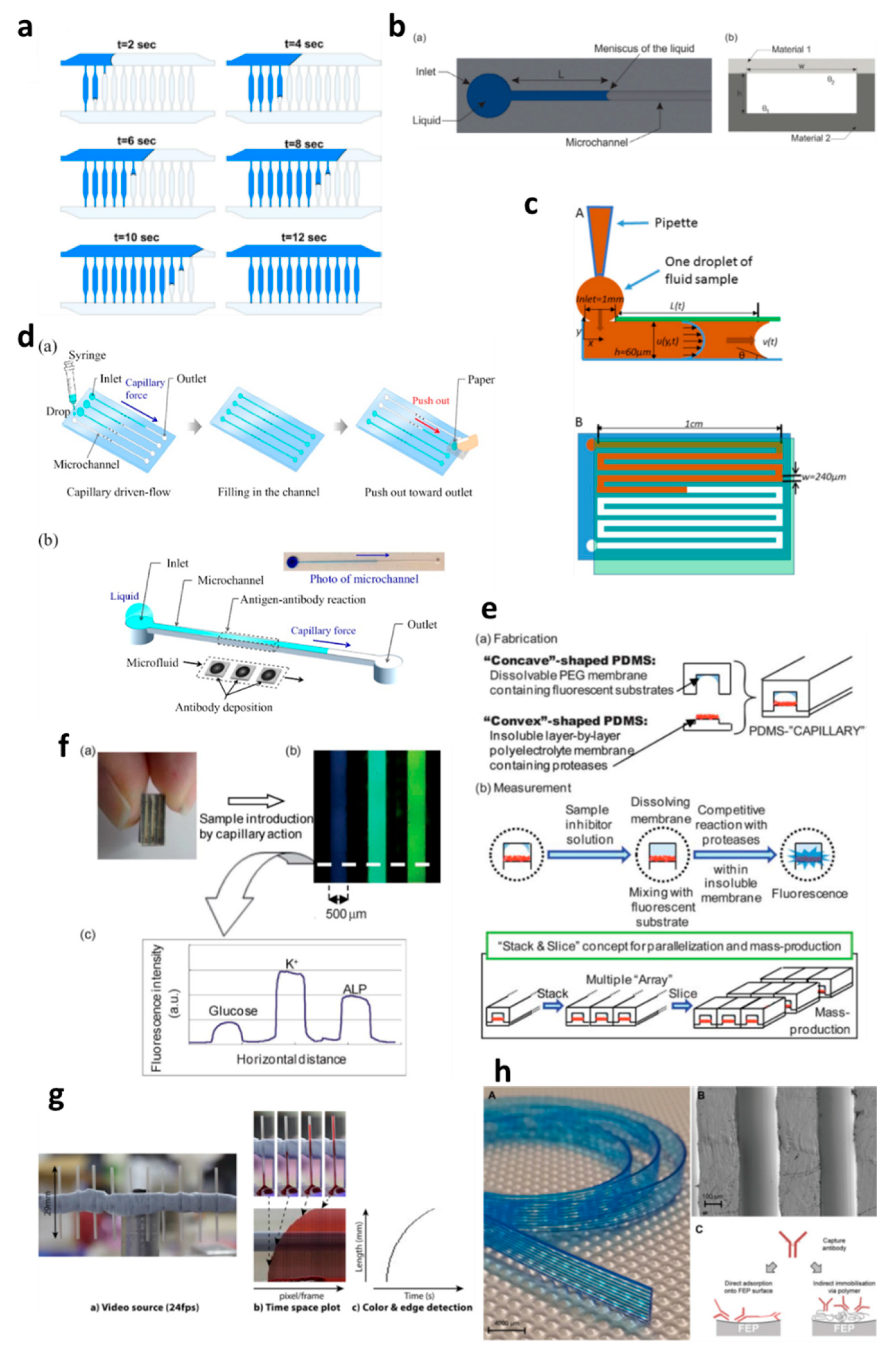 Diagnostics 10 00509 g002