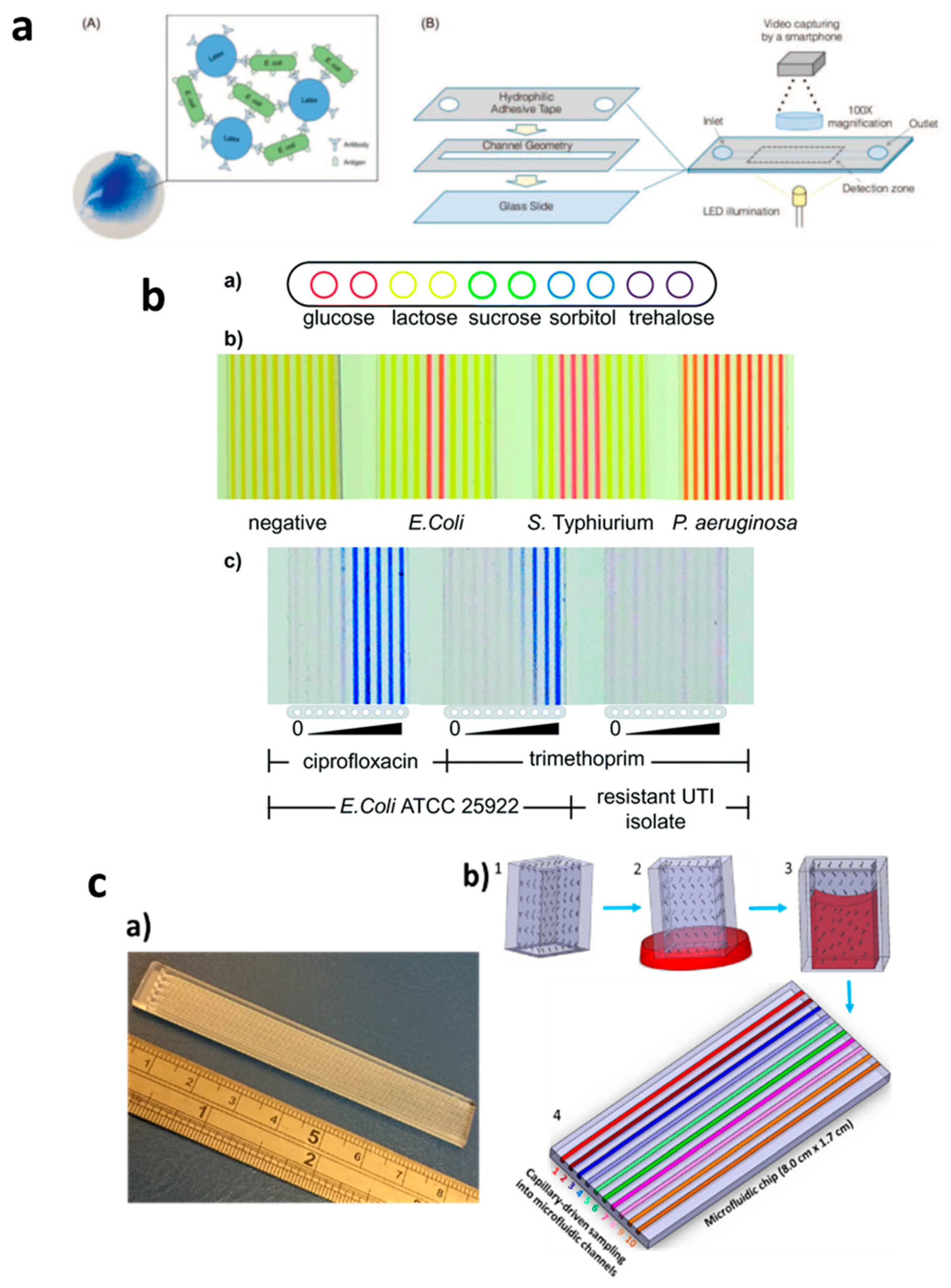 Diagnostics 10 00509 g003