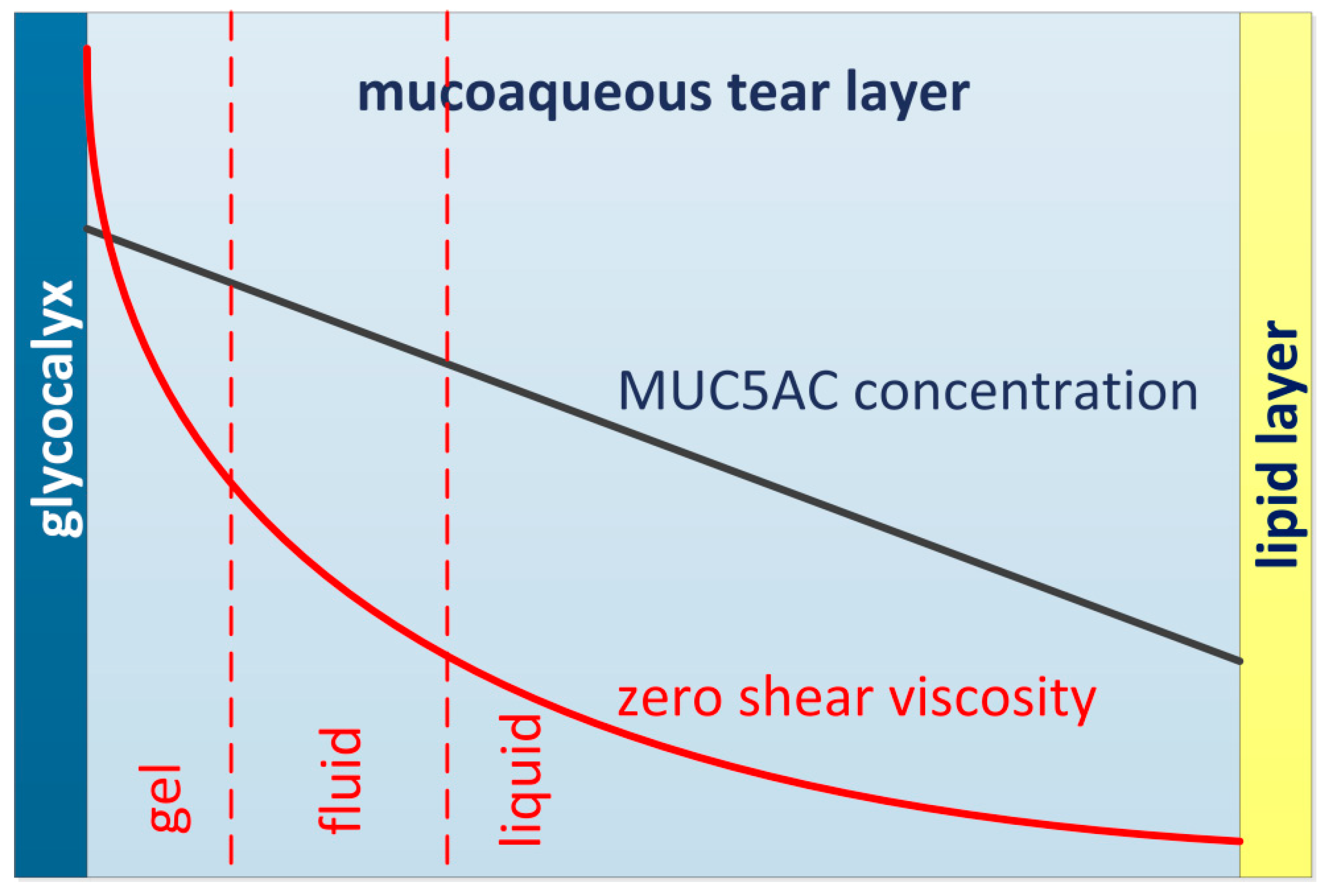 Diagnostics 10 00511 g004 Diagnostics 10 00511 g004