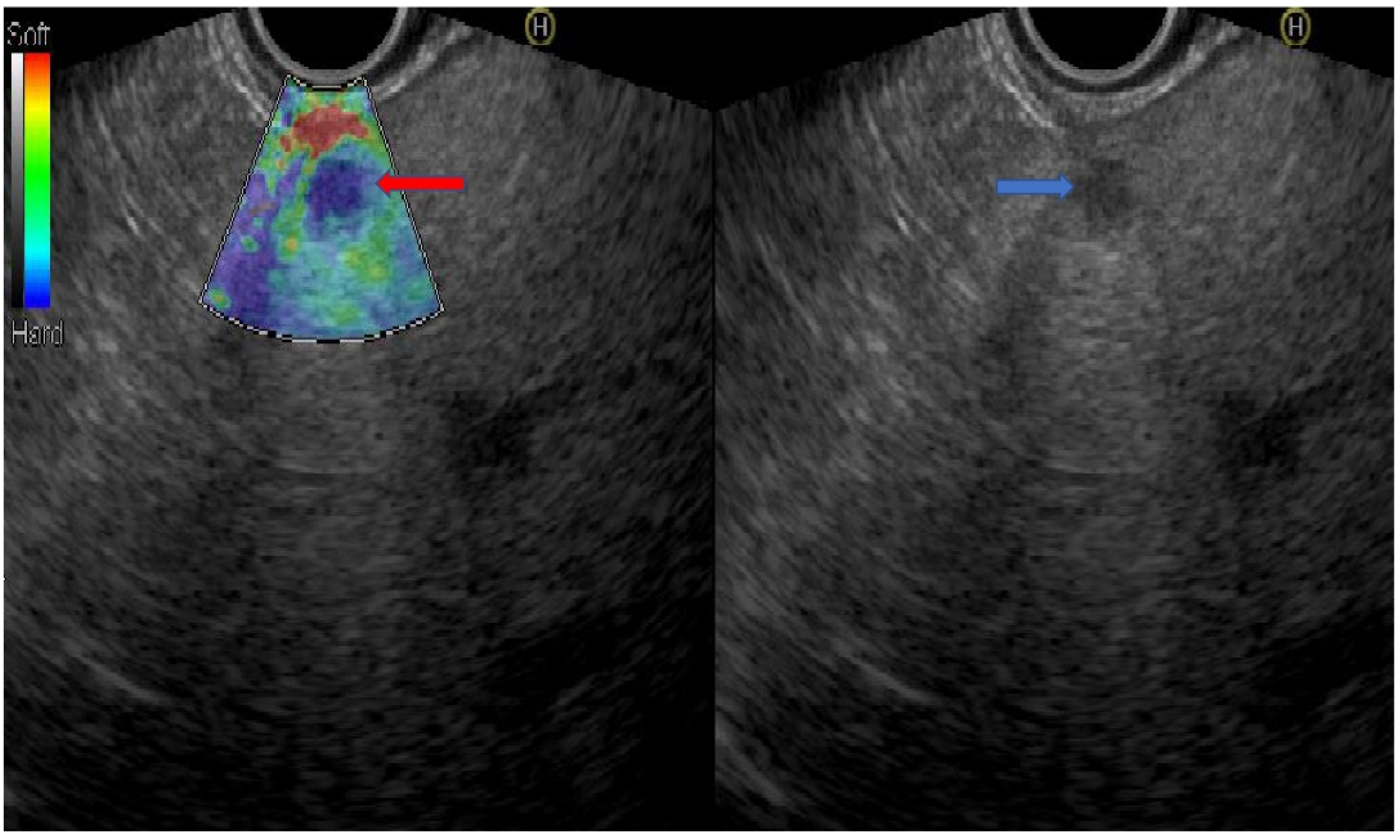 Diagnostics 10 00512 g001