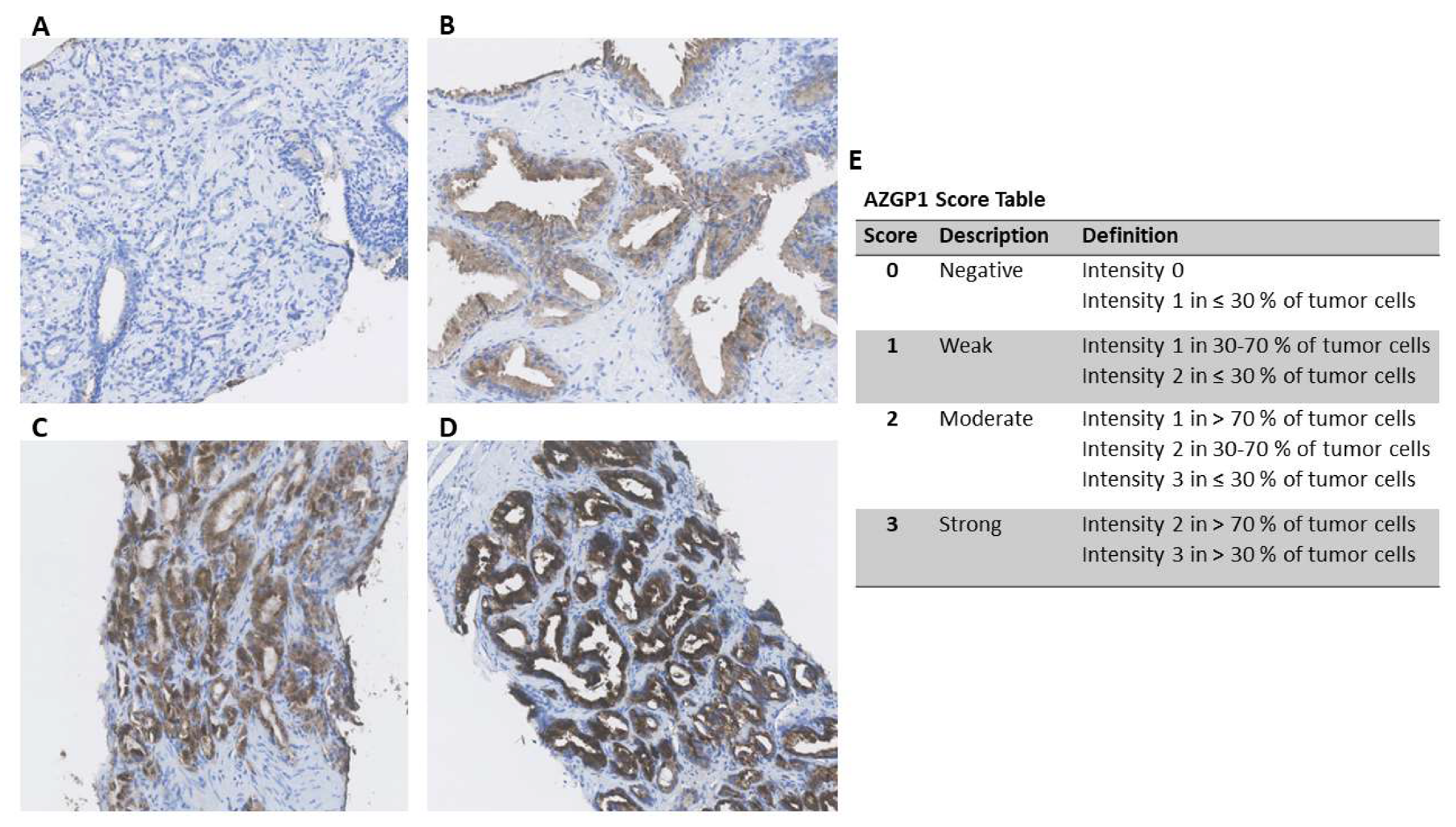 Diagnostics 10 00520 g001