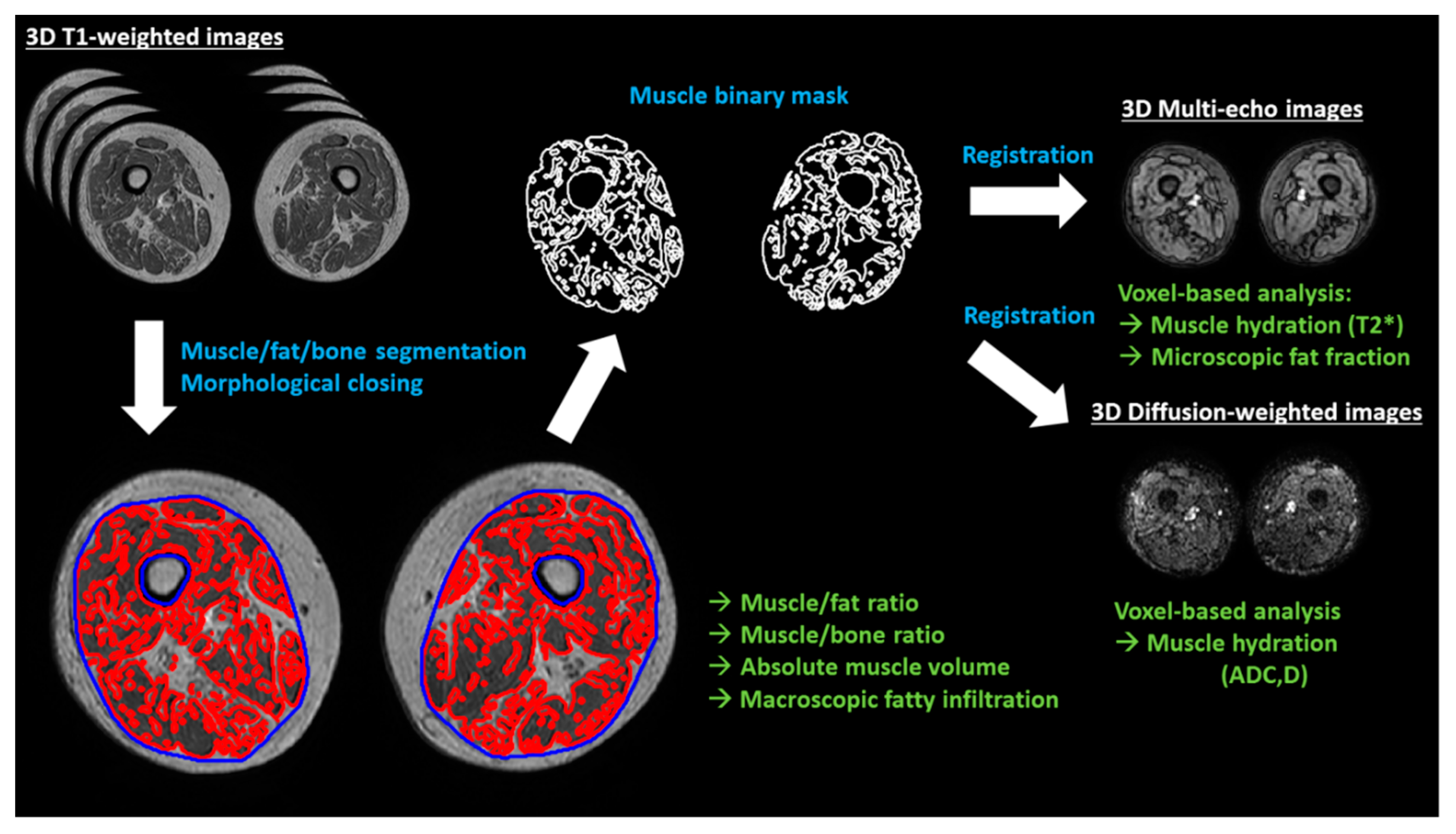 Diagnostics 10 00534 g001