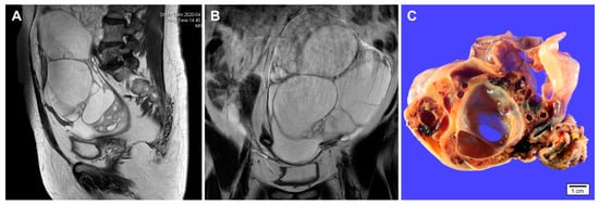 Diagnostics 10 00537 g001