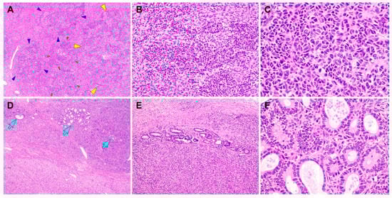 Diagnostics 10 00537 g003