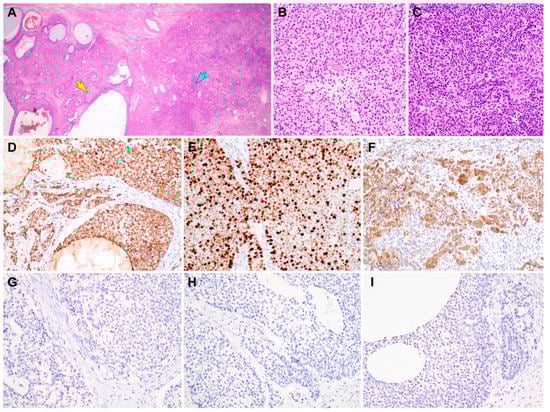 Diagnostics 10 00537 g004