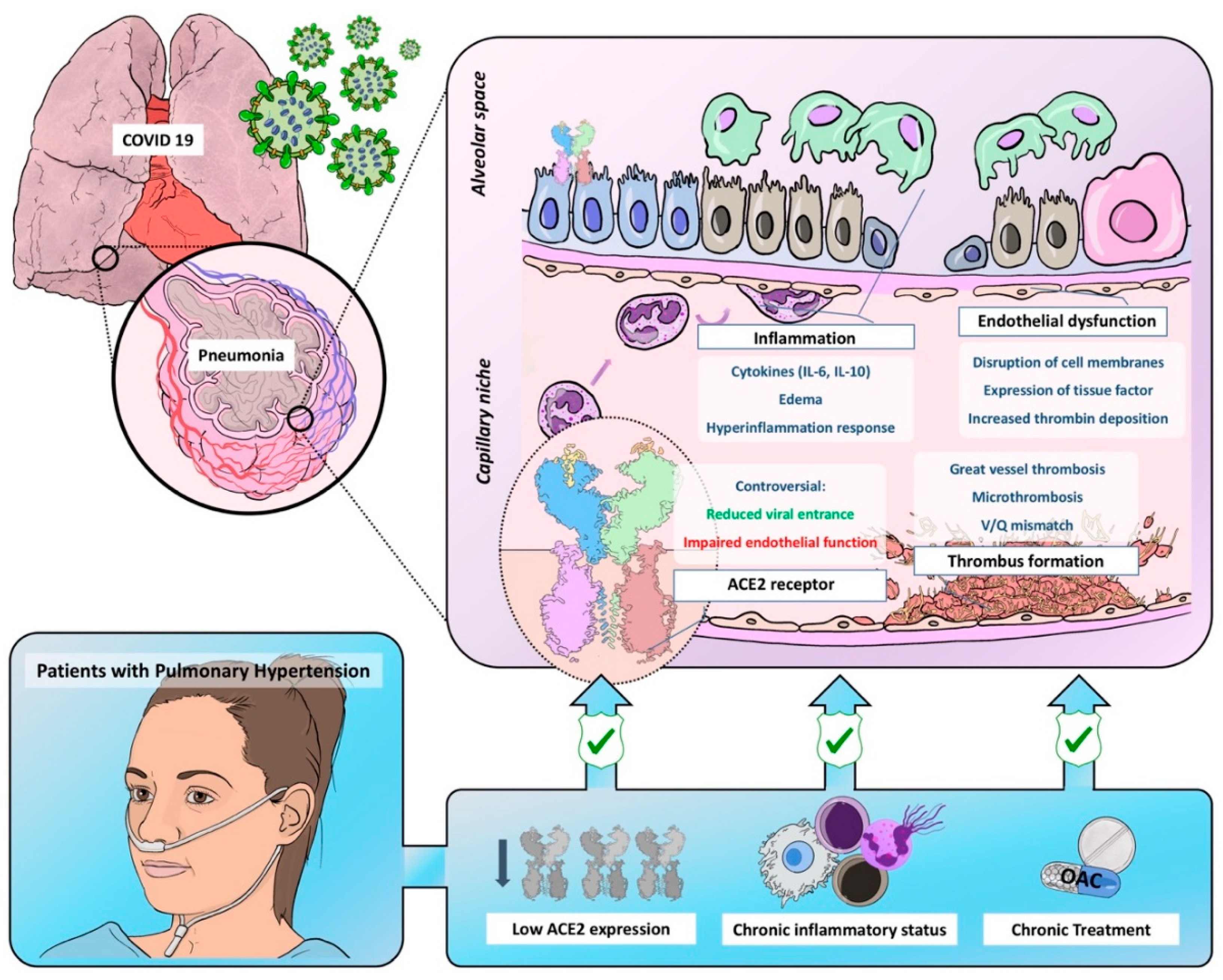 Diagnostics 10 00548 g001