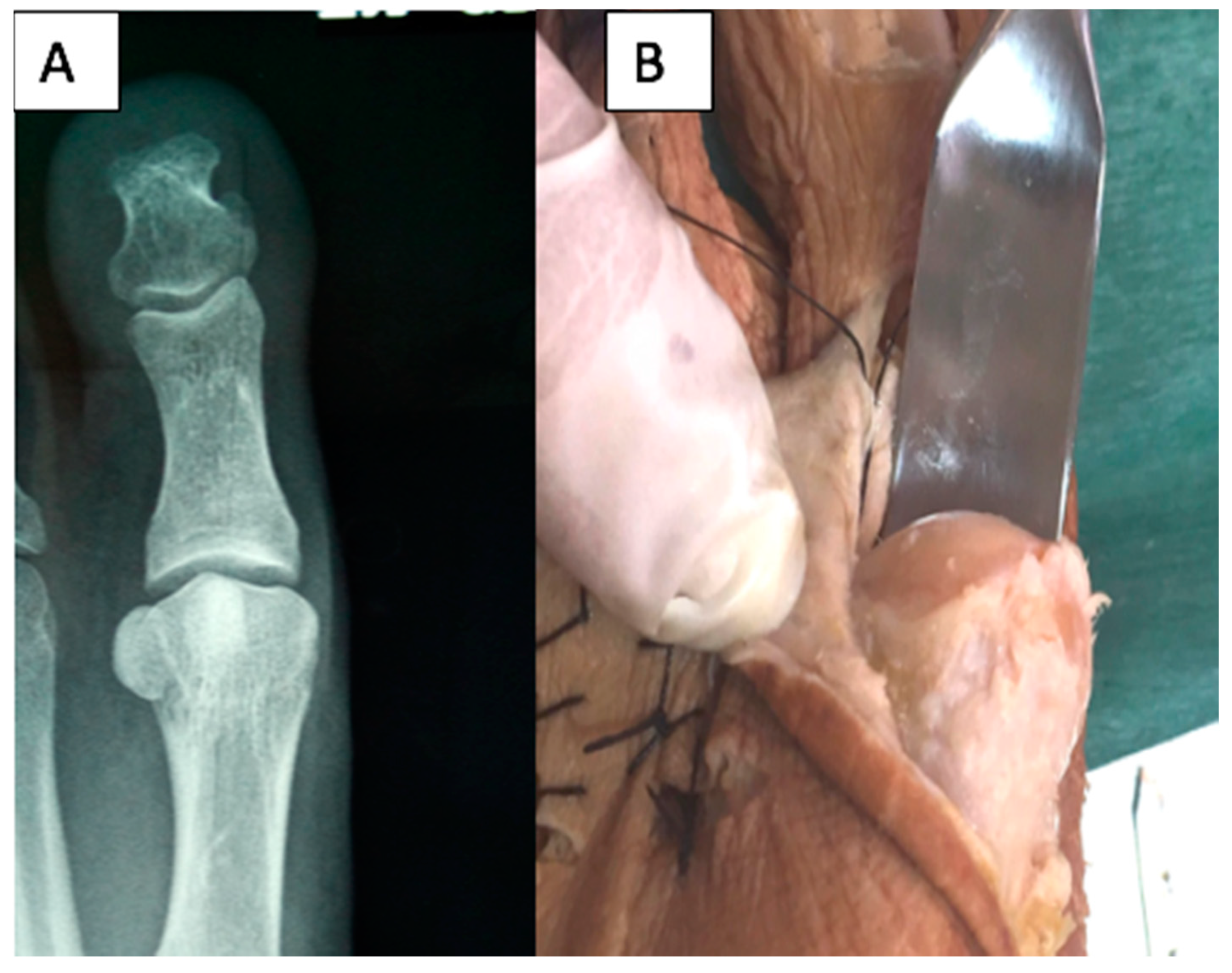 Diagnostics 10 00552 g002