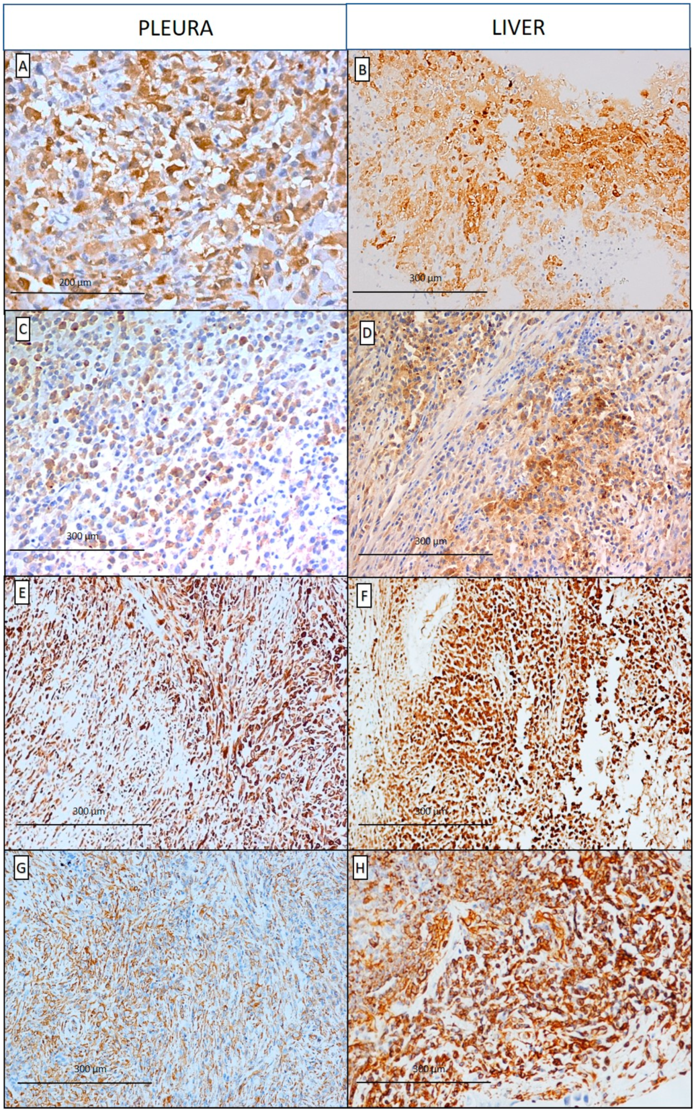 Diagnostics 10 00555 g002 Diagnostics 10 00555 g002