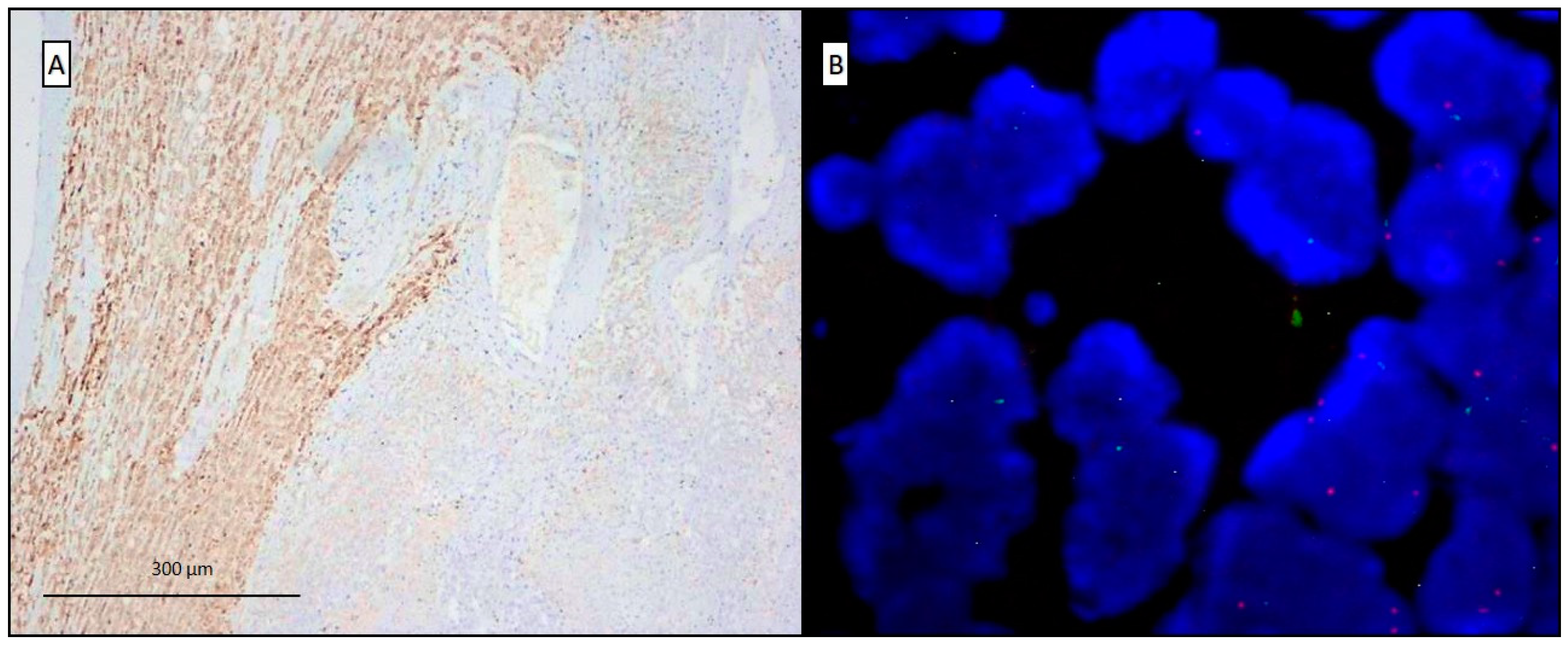 Diagnostics 10 00555 g003 Diagnostics 10 00555 g003