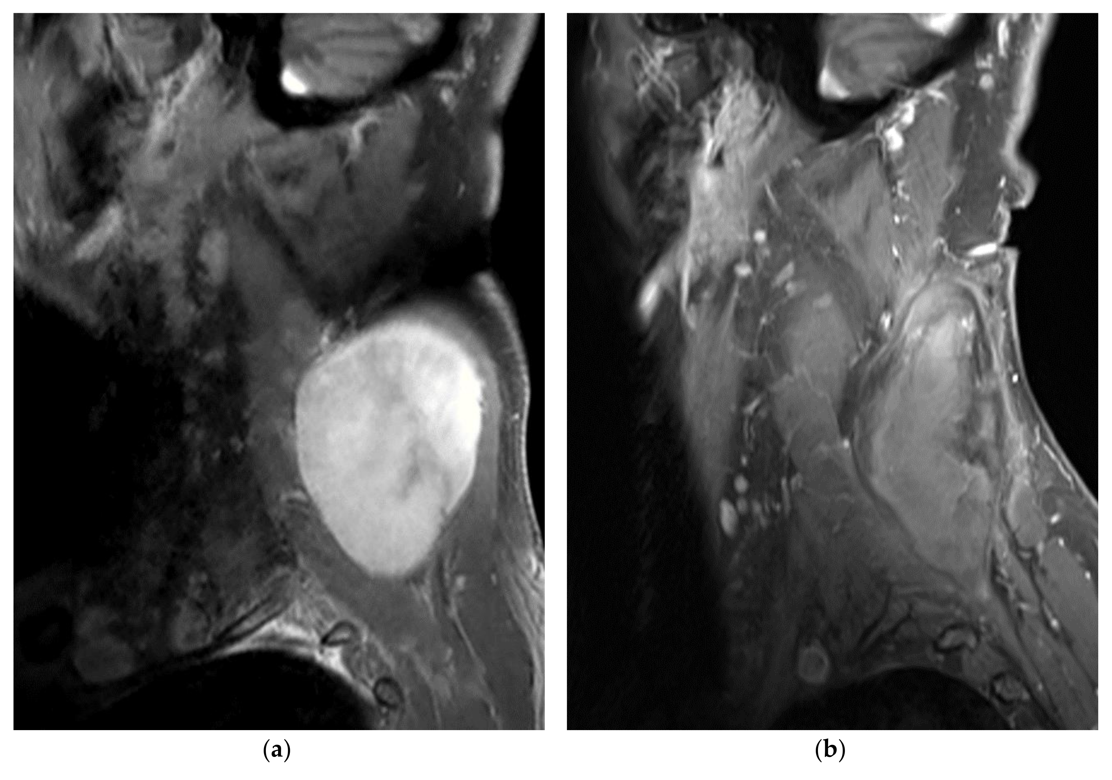 Diagnostics 10 00556 g001a