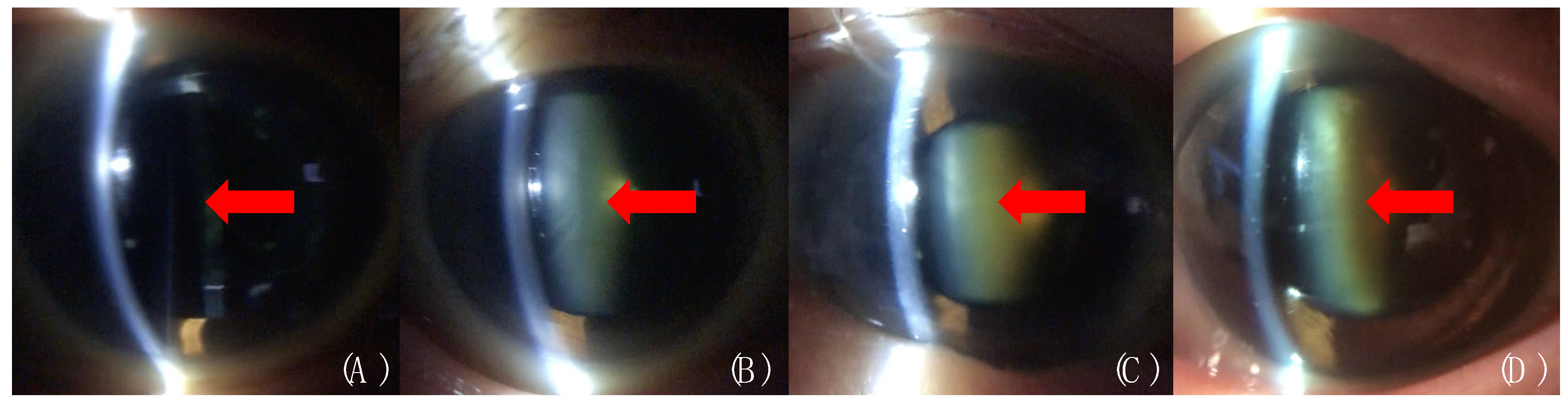Diagnostics 10 00576 g003