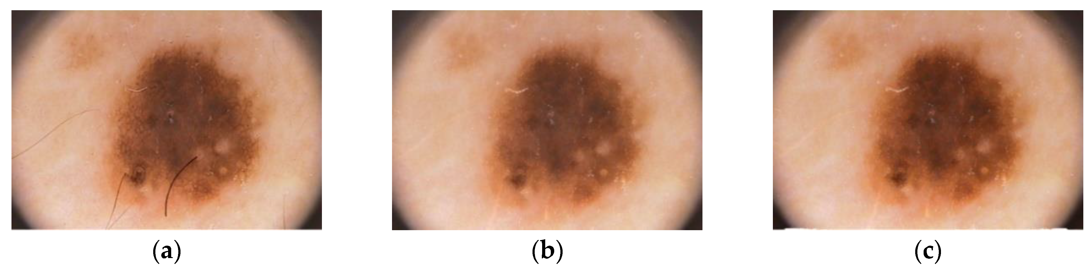 Diagnostics 10 00577 g004