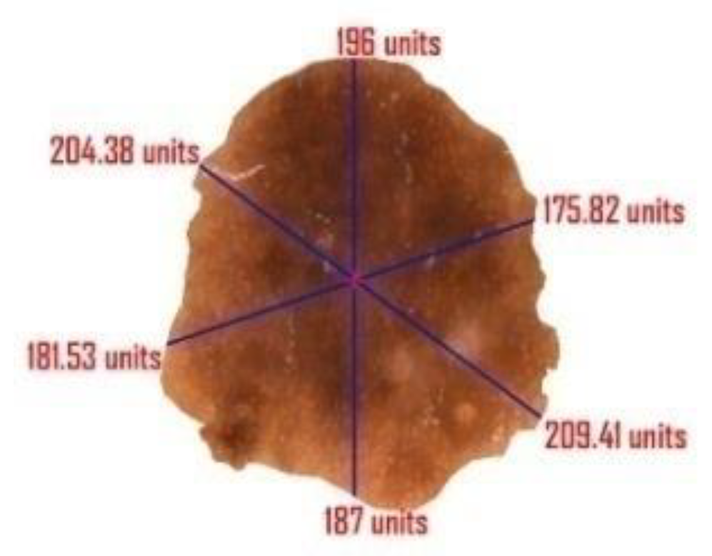 Diagnostics 10 00577 g010