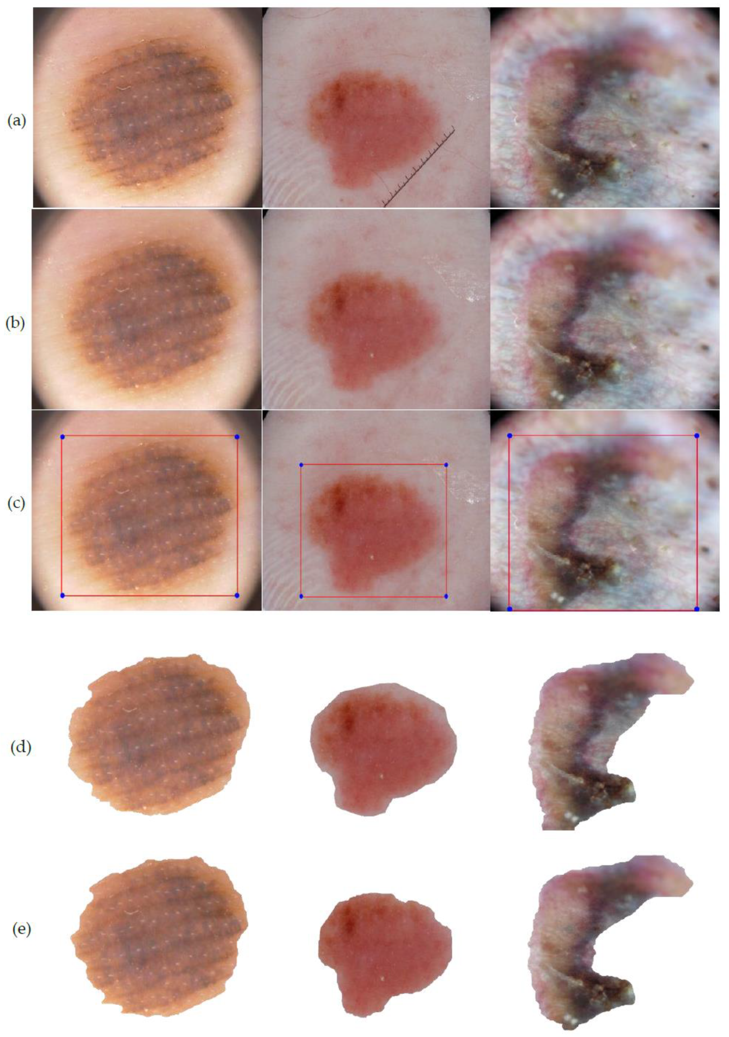 Diagnostics 10 00577 g013