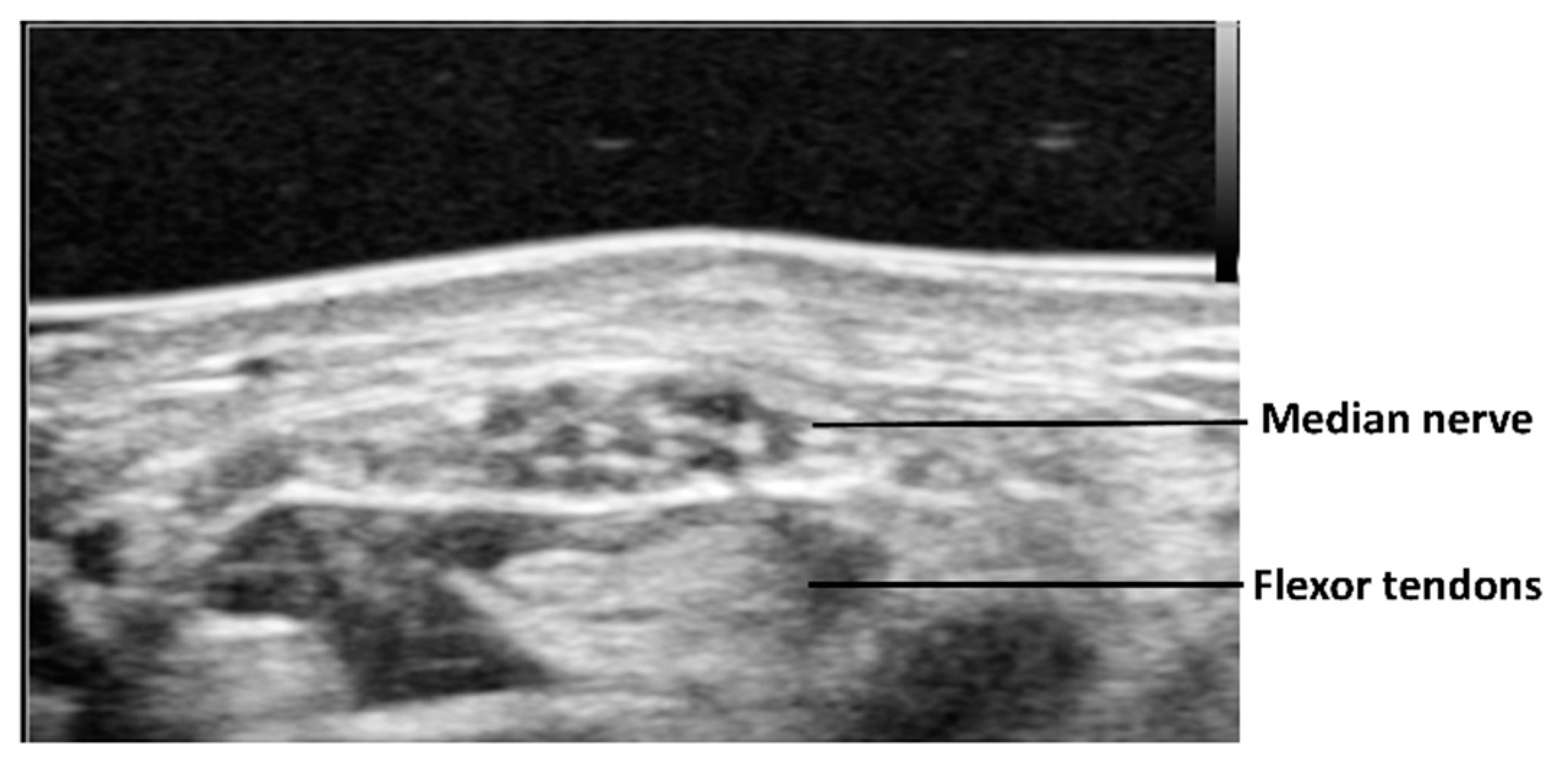 Diagnostics 10 00596 g001