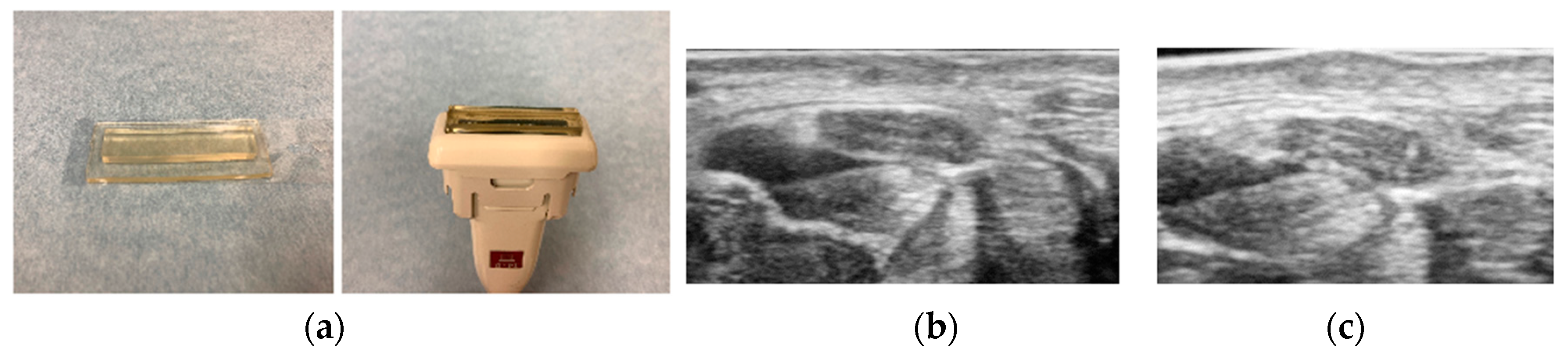 Diagnostics 10 00596 g002