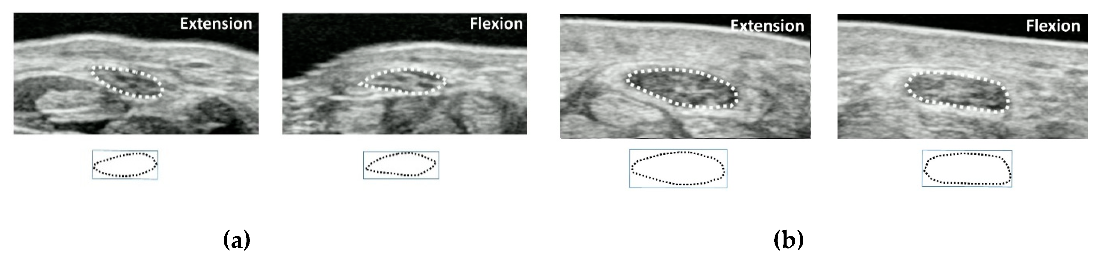 Diagnostics 10 00596 g003