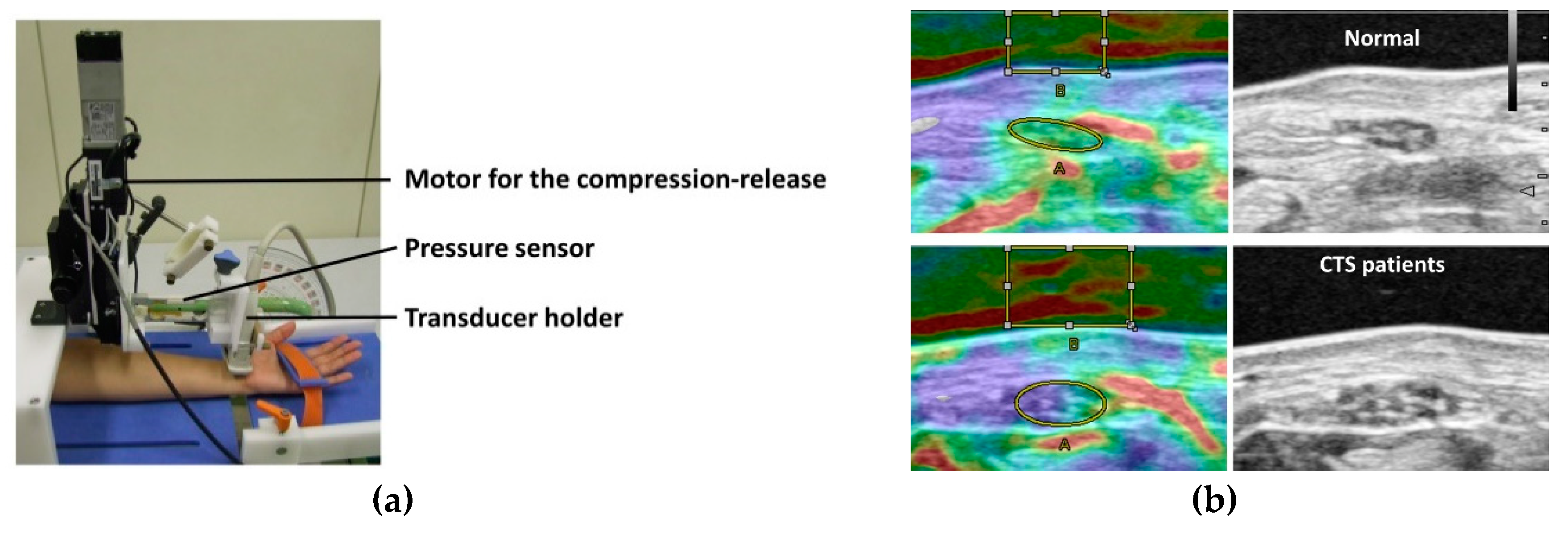 Diagnostics 10 00596 g004