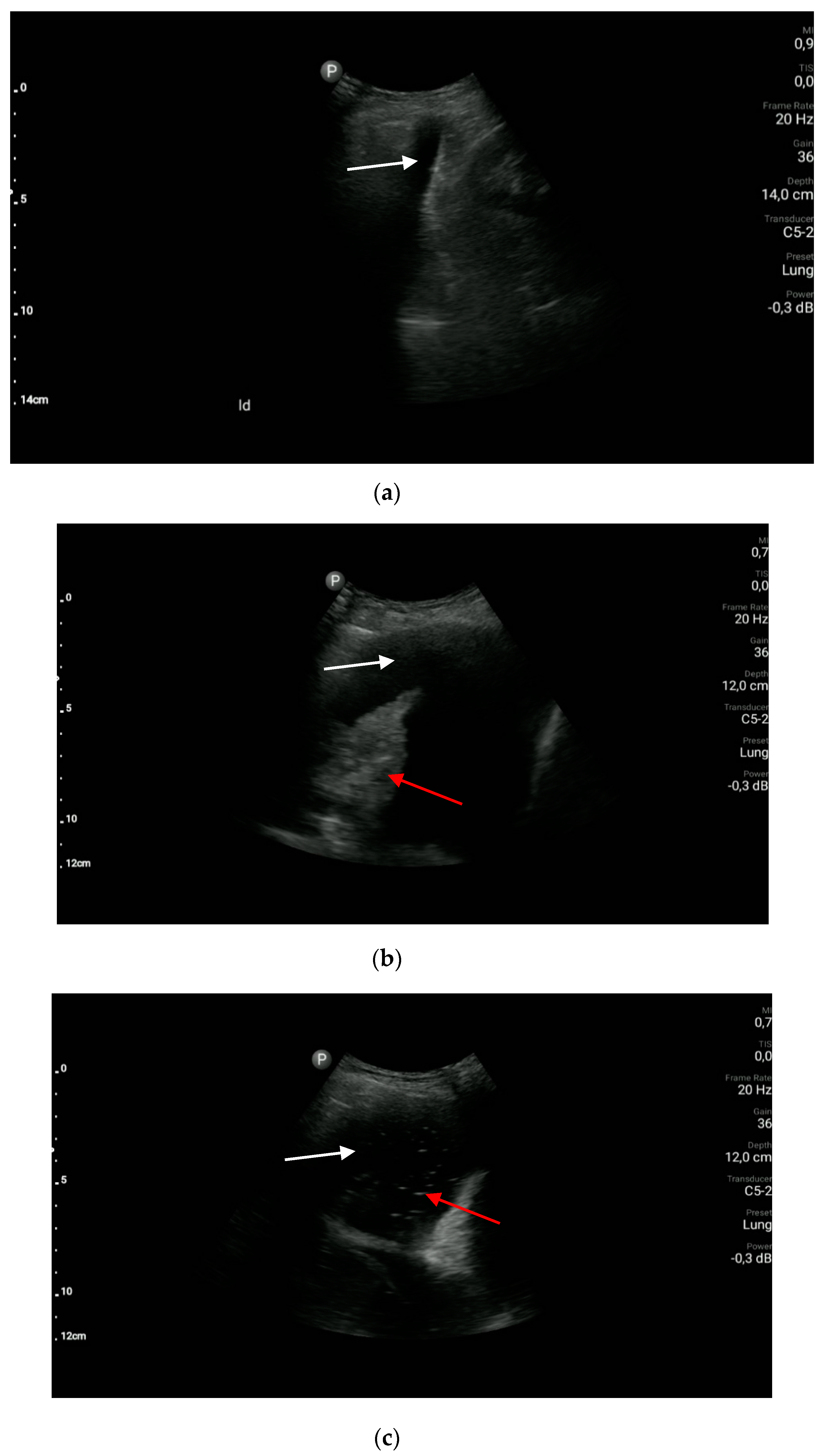 Diagnostics 10 00597 g006 Diagnostics 10 00597 g006