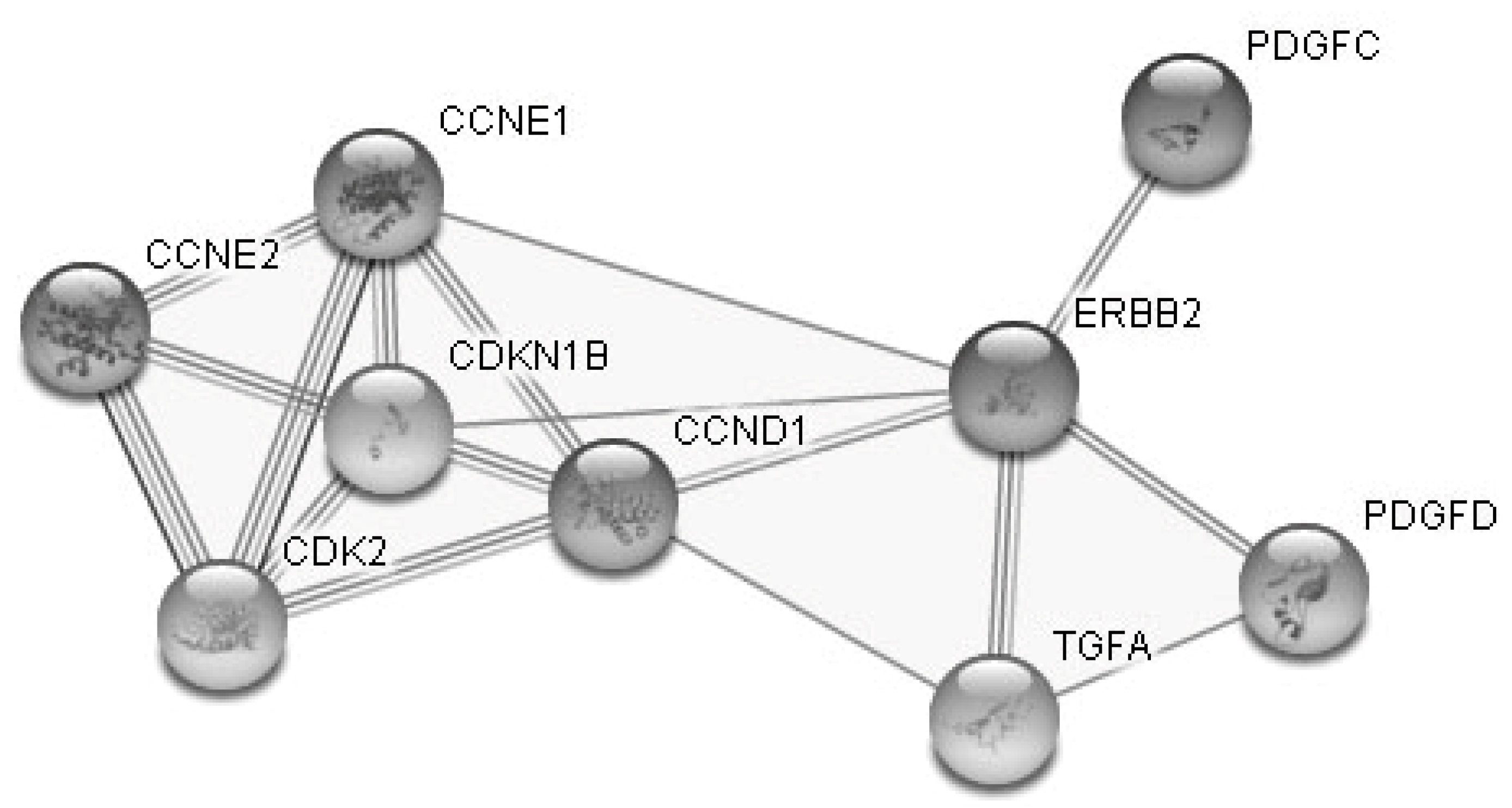 Diagnostics 10 00600 g005