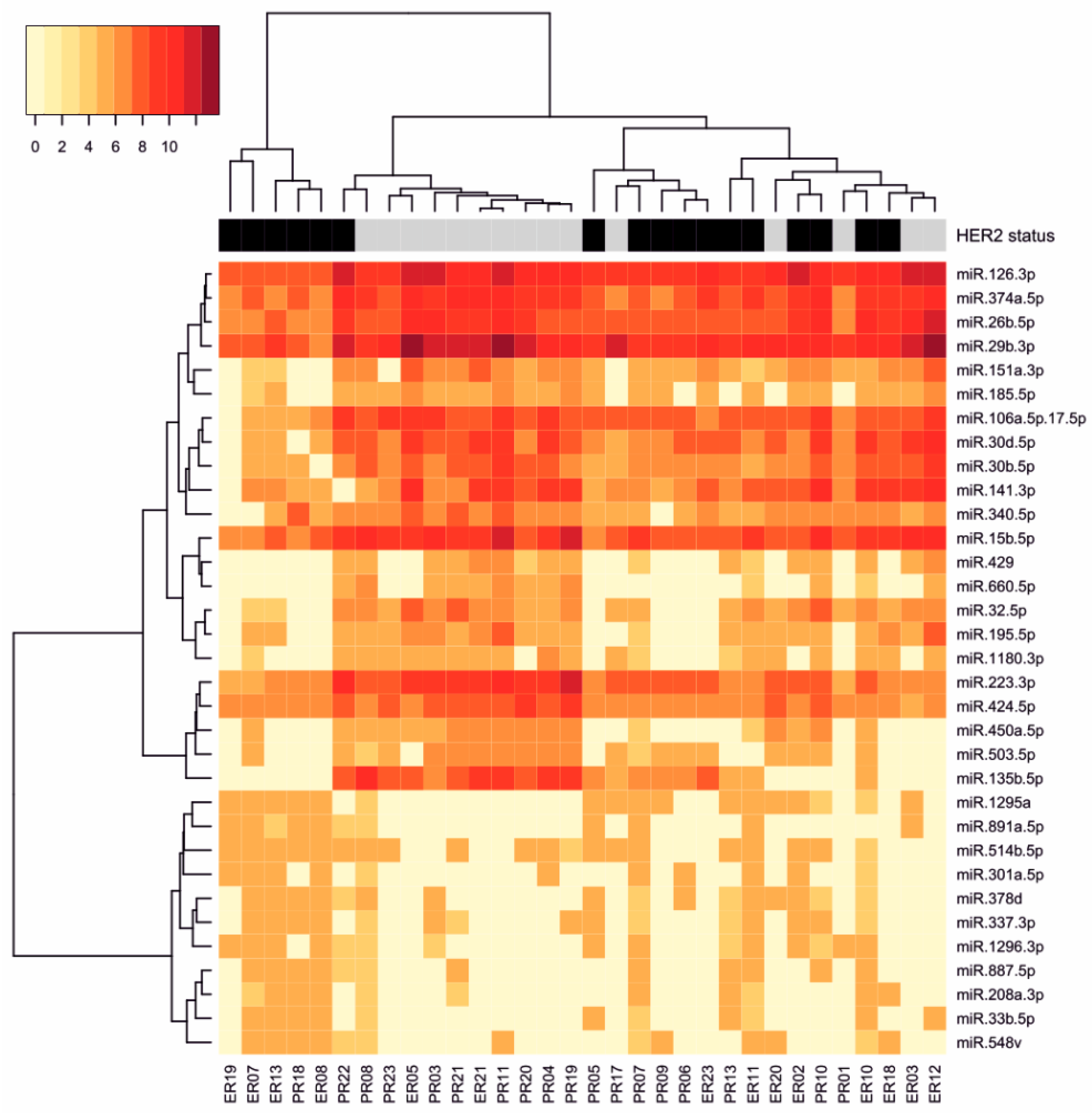 Diagnostics 10 00617 g001