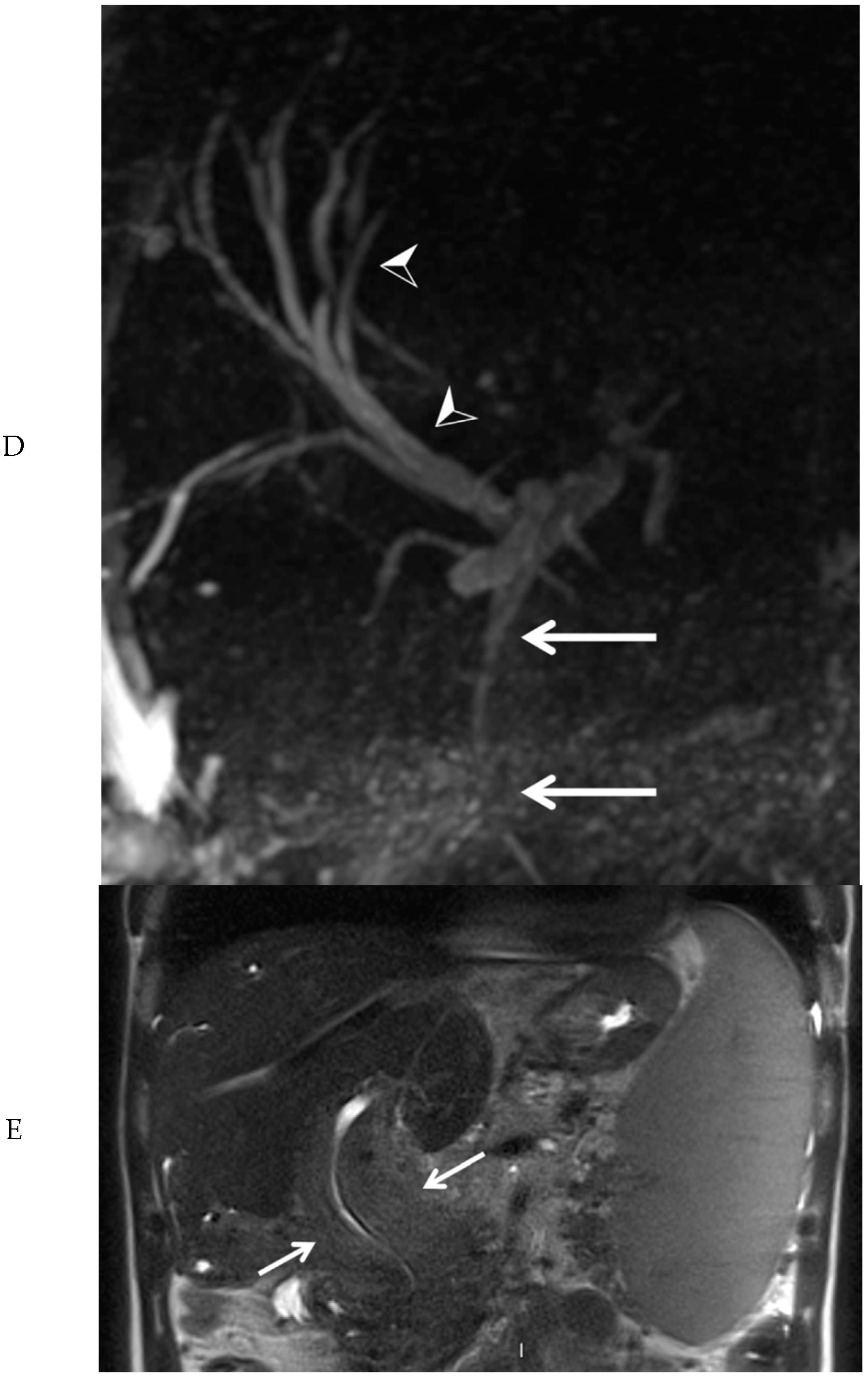 Diagnostics 10 00623 g003b Diagnostics 10 00623 g003b